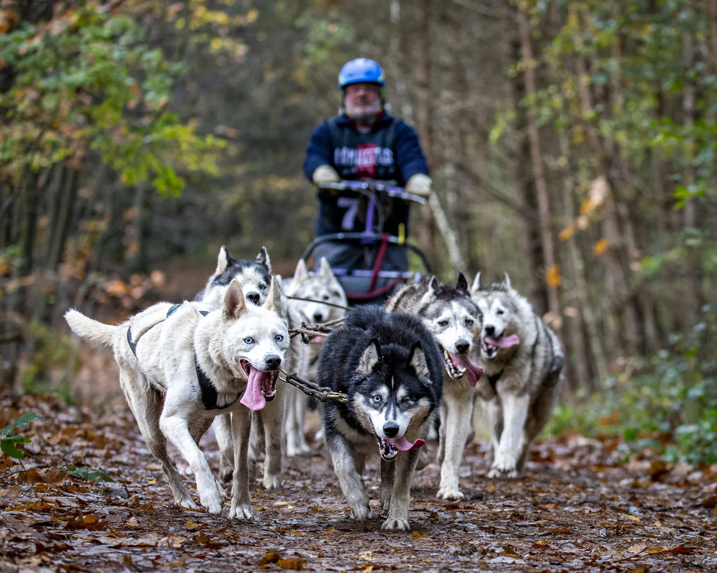 Together being active outdoors