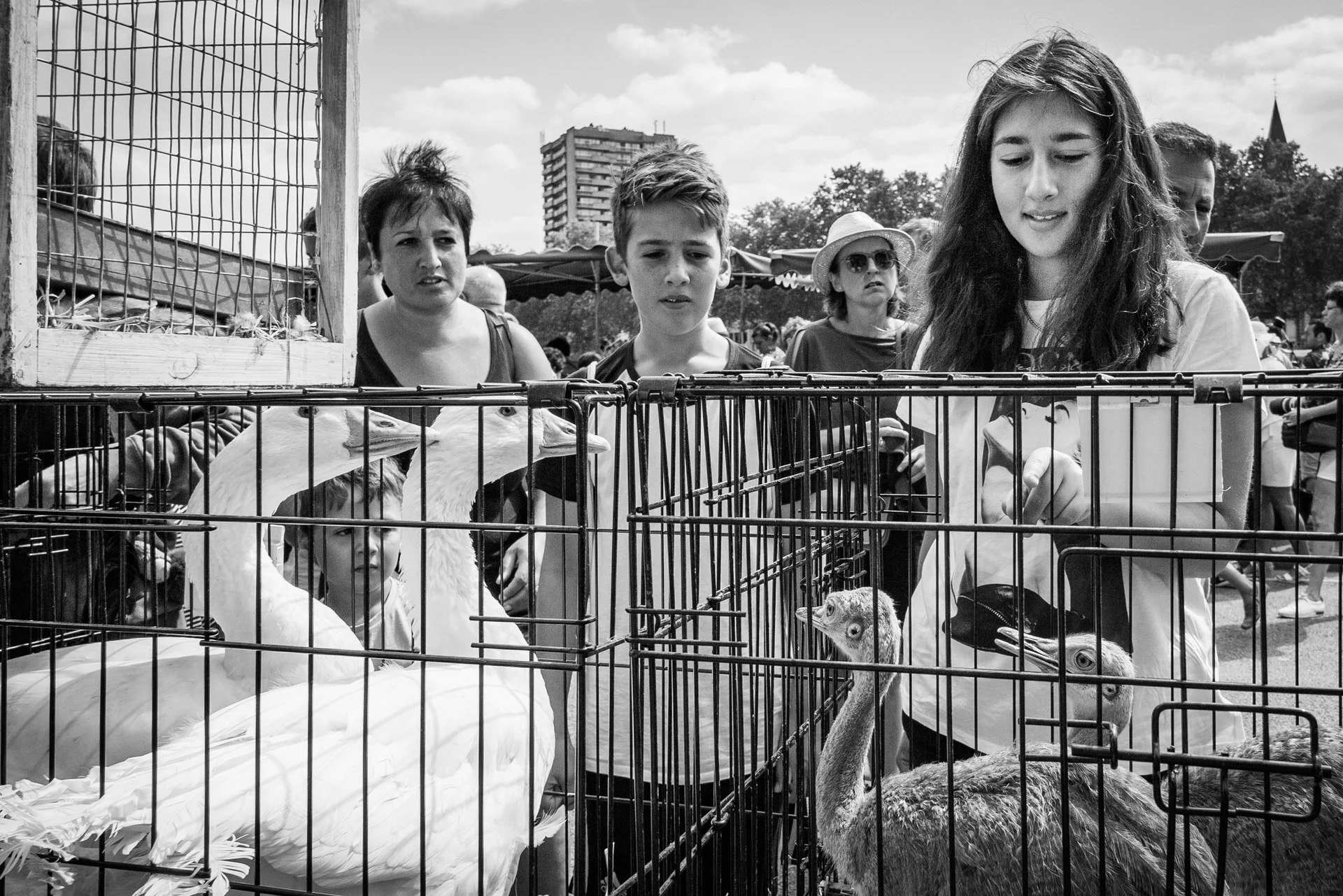 Children and adults looking at birds inside a cage at a fair or outdoor event, with a woman examining the birds and other people in the background.