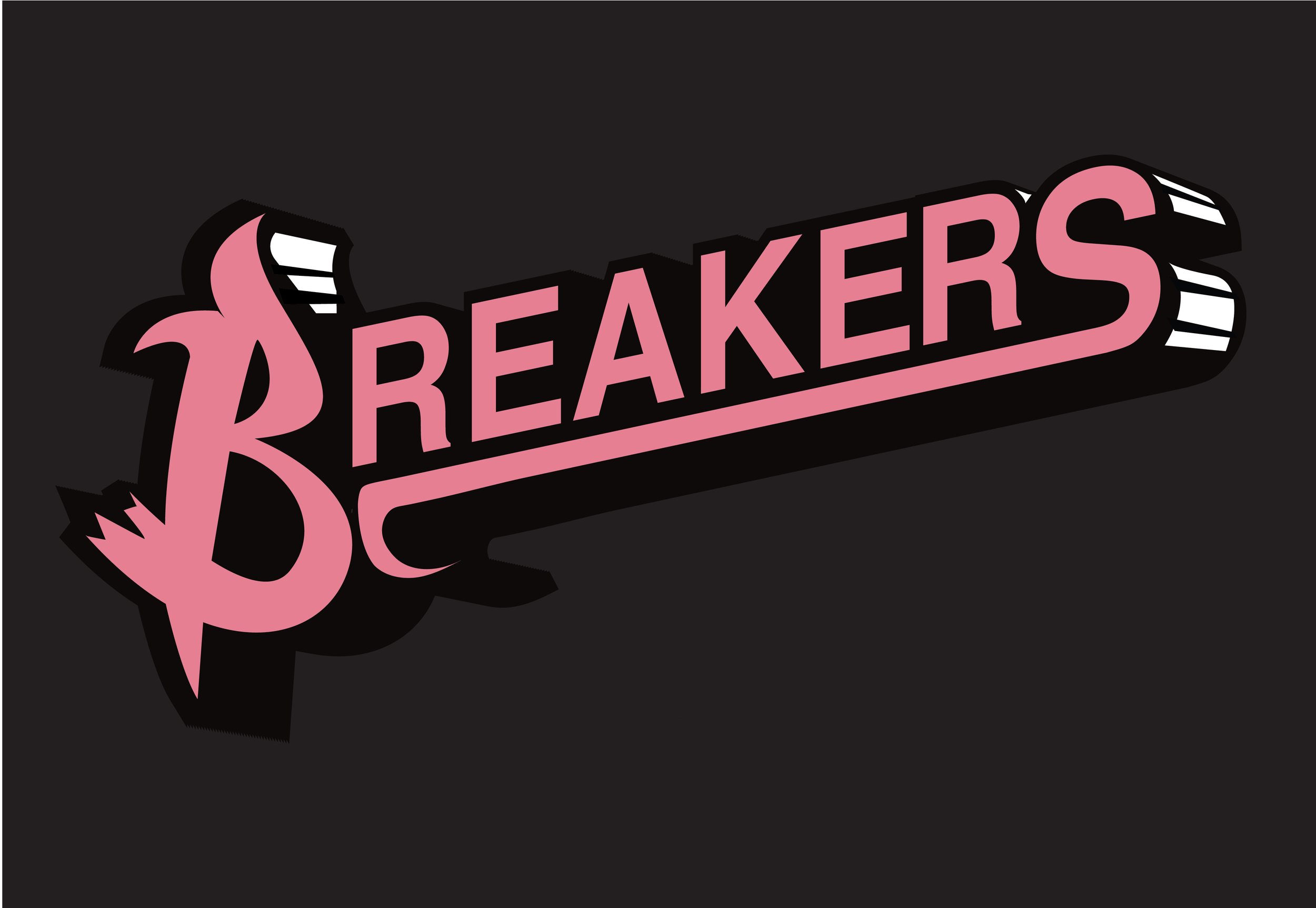 Breakers Skate Team