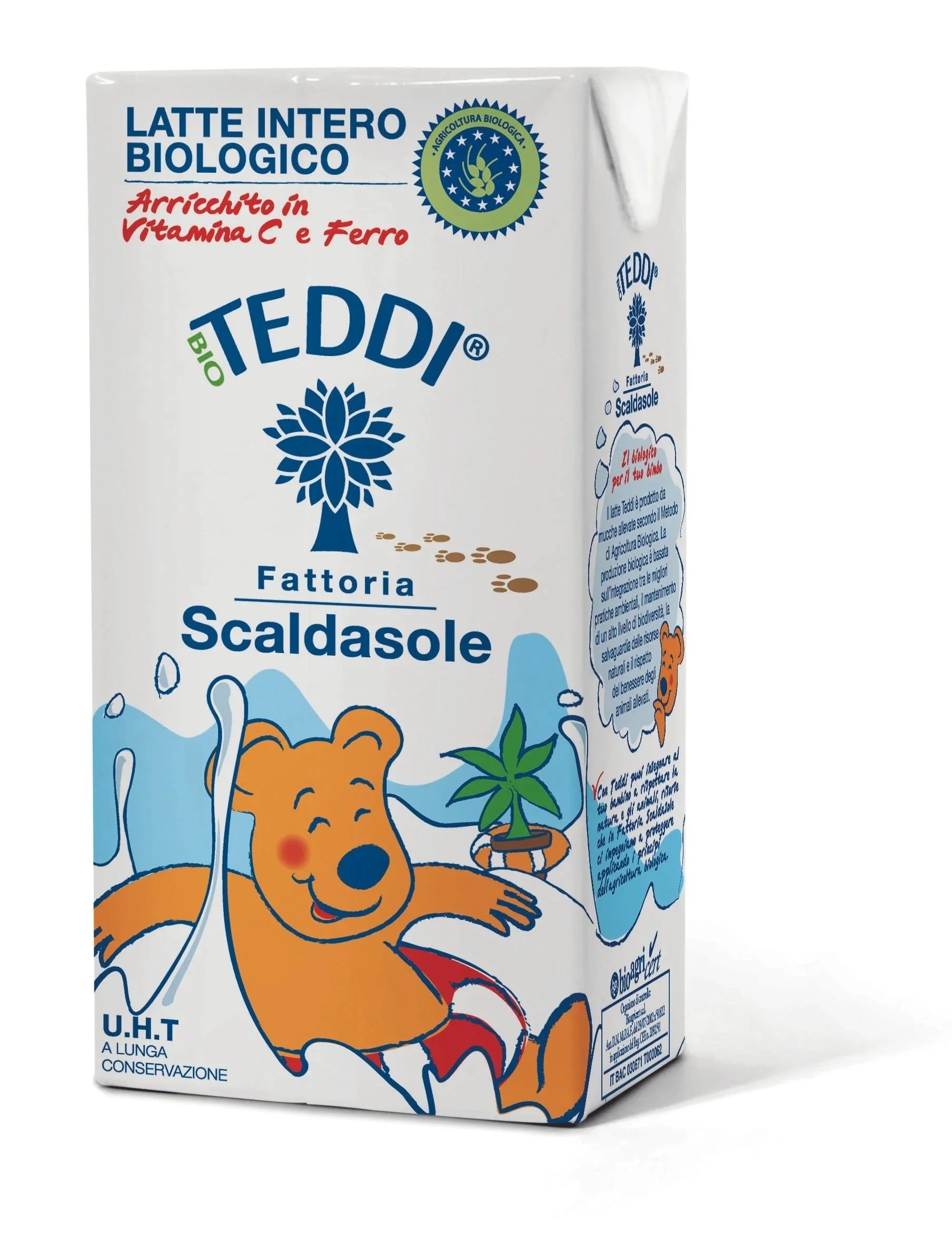 teddi%2Blatte.jpg