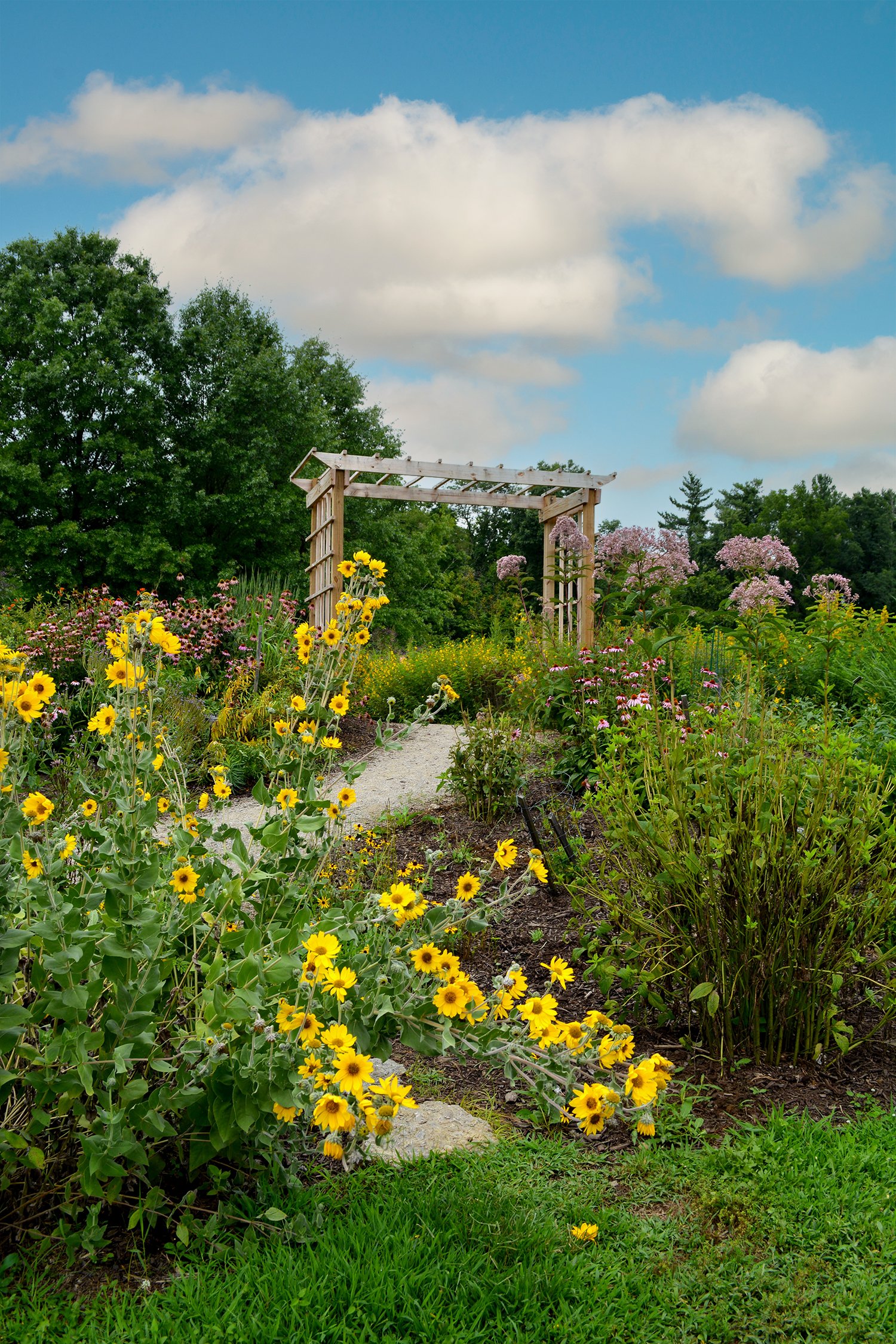 A garden scene with a wooden arbor, yellow and pink flowers, green trees, and a partly cloudy blue sky.