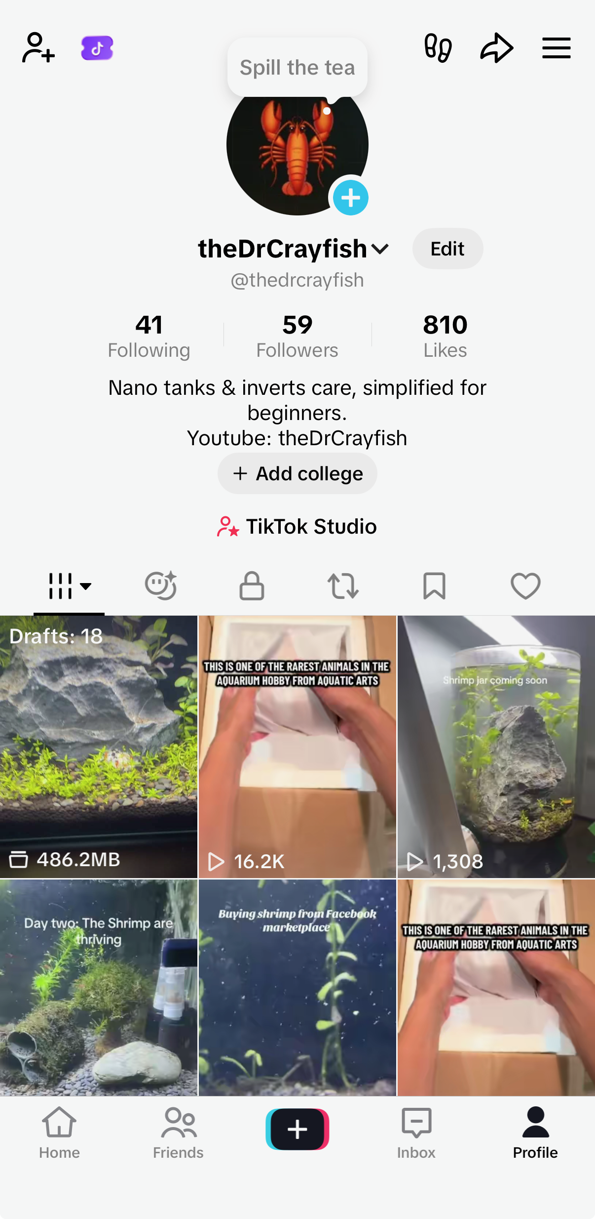 Screenshot of a TikTok profile page for the user @thedrcrayfish, who creates content about nano tanks and invert care. The profile features a lobster profile picture and a bio mentioning simplified care for beginners. Below are some videos related to aquatic animals, including a small shrimp tank, packaging an animal, and a shrimp jar.