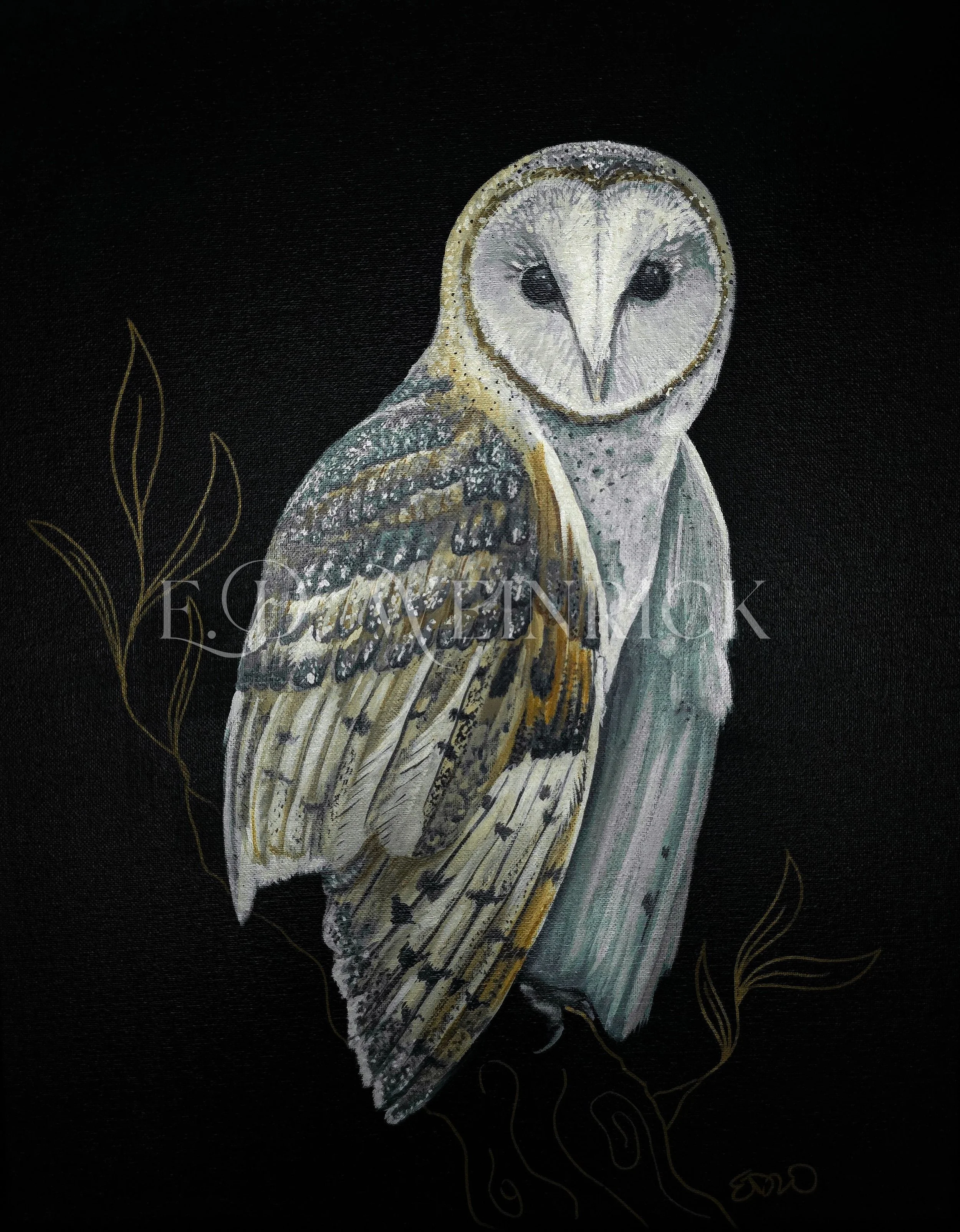 Barn Owl print