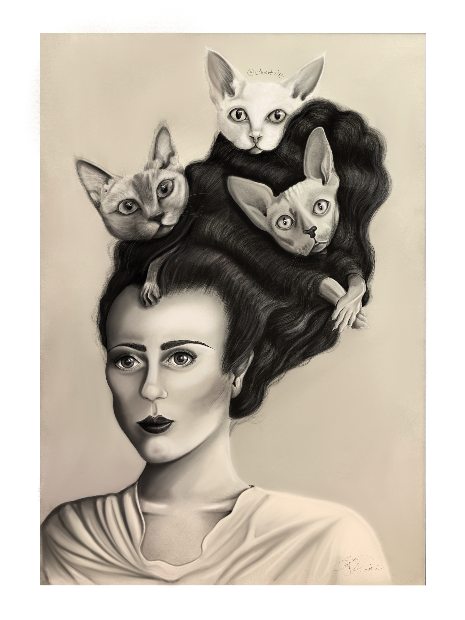 Cat lady.png