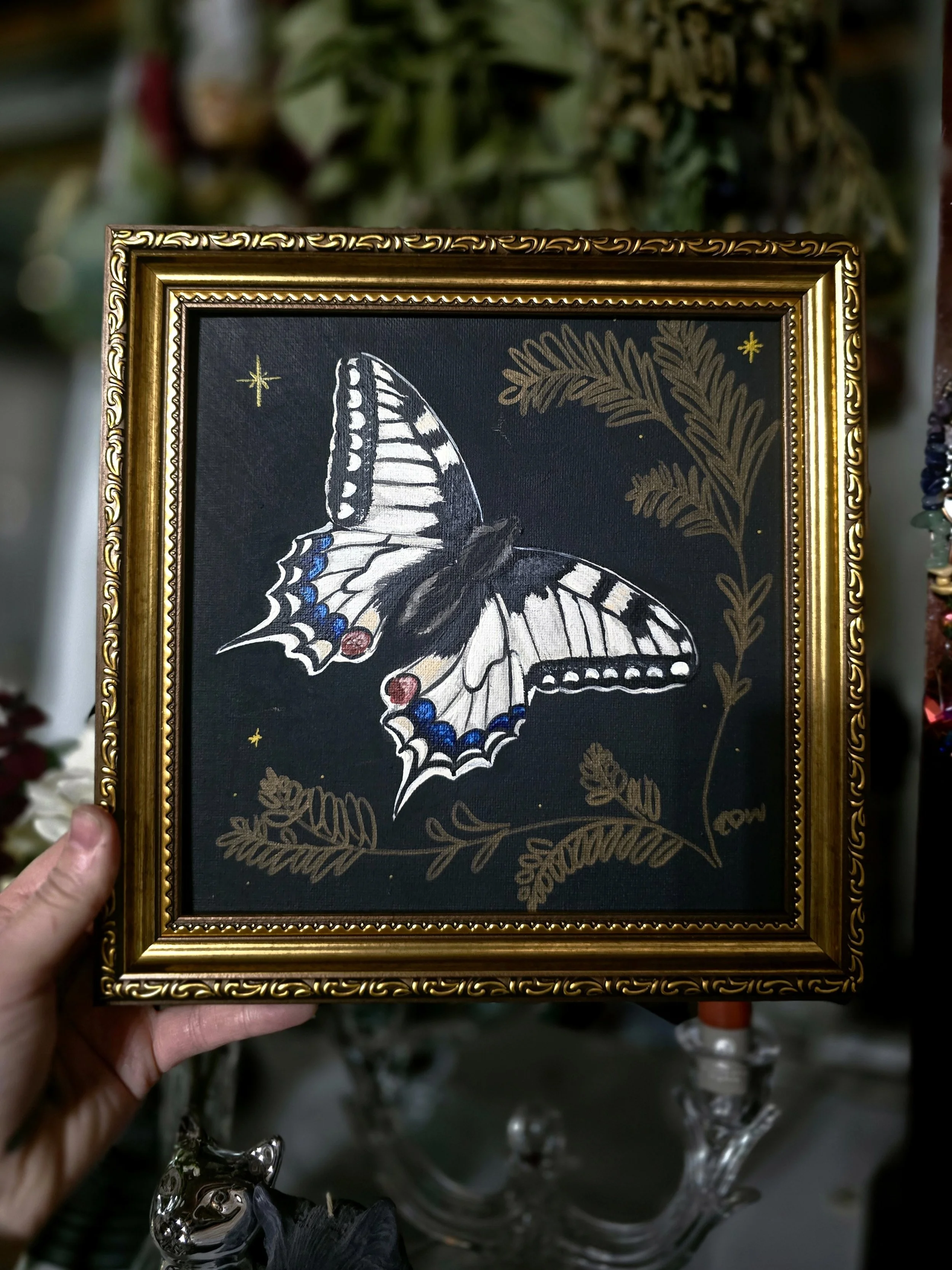 20260831_124836.jpg