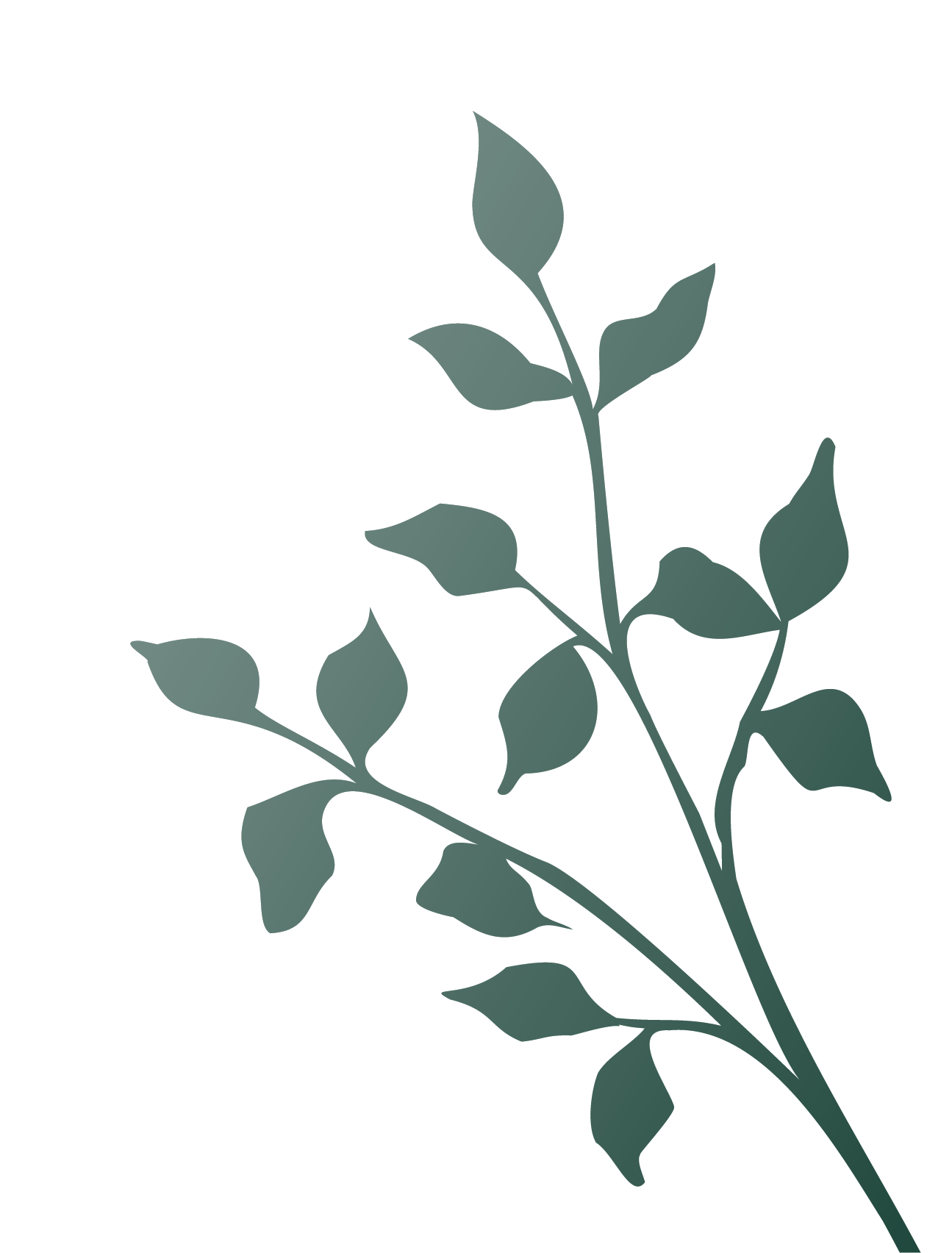 Silhouette of a leafy plant with multiple branches and dark green leaves.