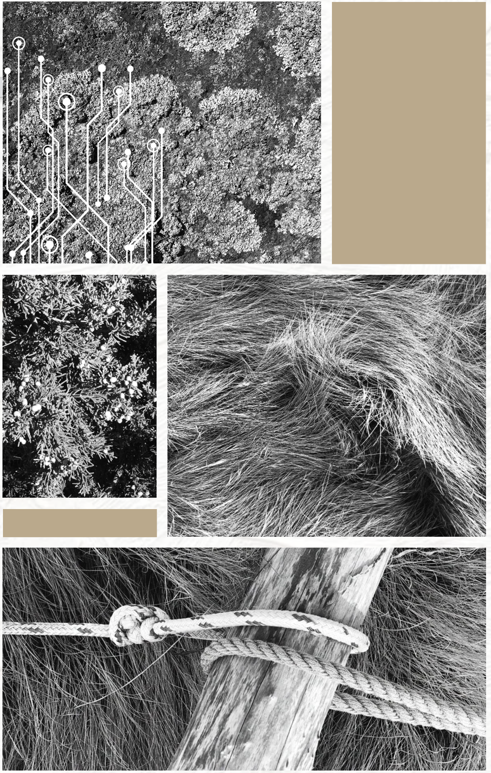 Collage of four black and white nature-themed images with digital elements, including textured ground, dense foliage with berries, wild grass, and a close-up of a wood staff tied with rope.