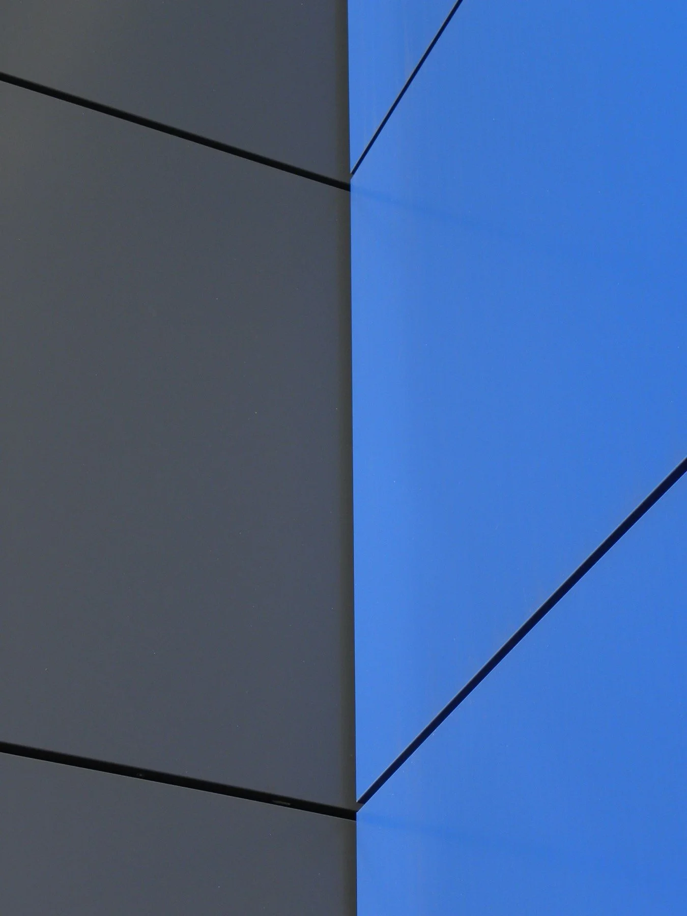 pexels-dunigan-30204753.jpg