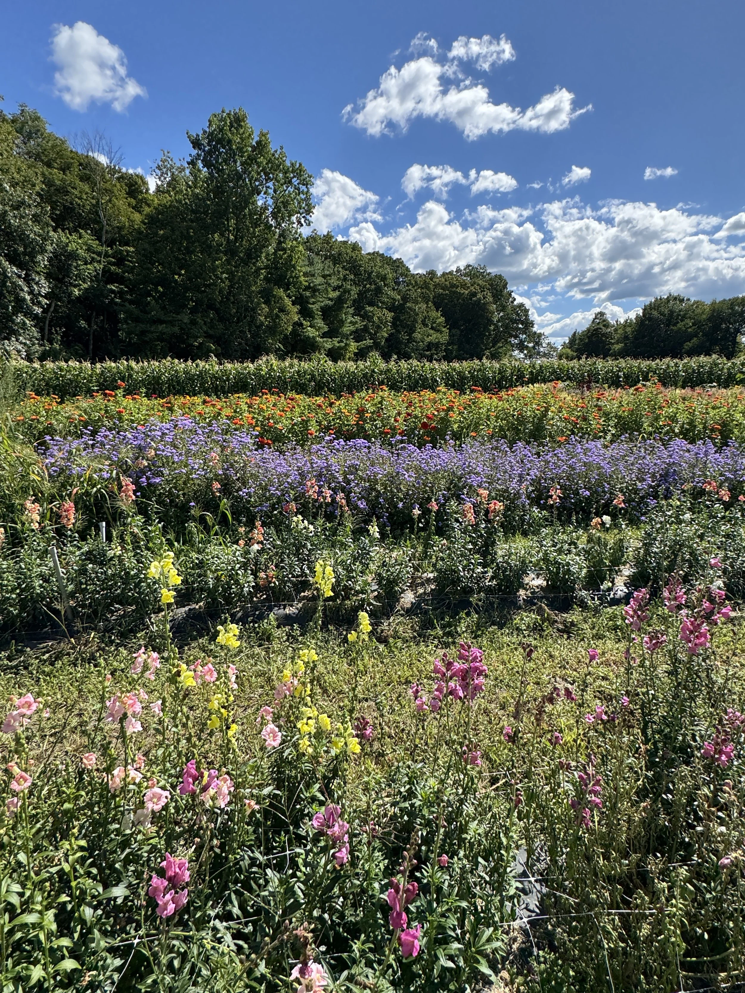 Berkshire Estate & Garden Trail