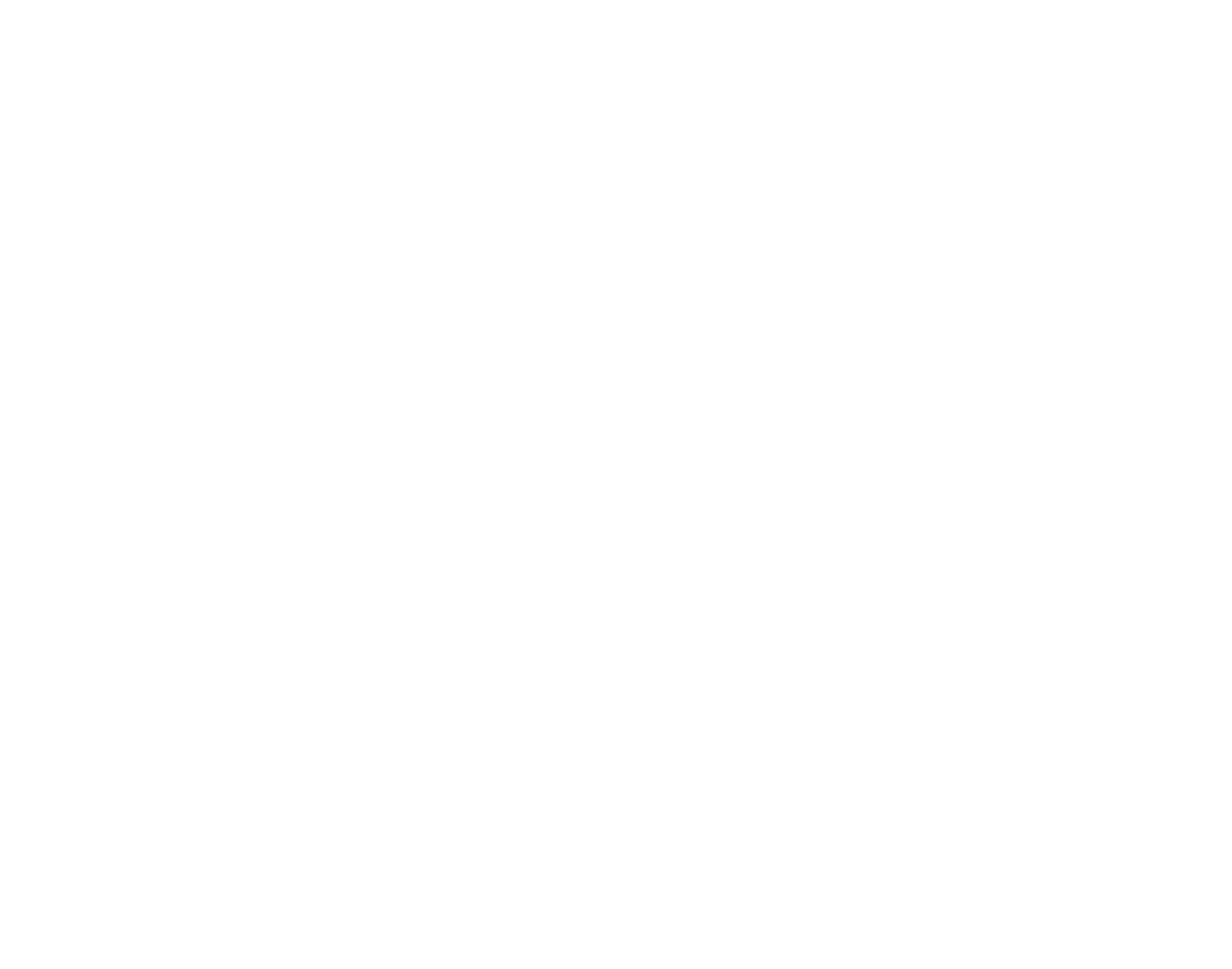 Black flag with white design resembling a paper plane or an arrow pointing upward.