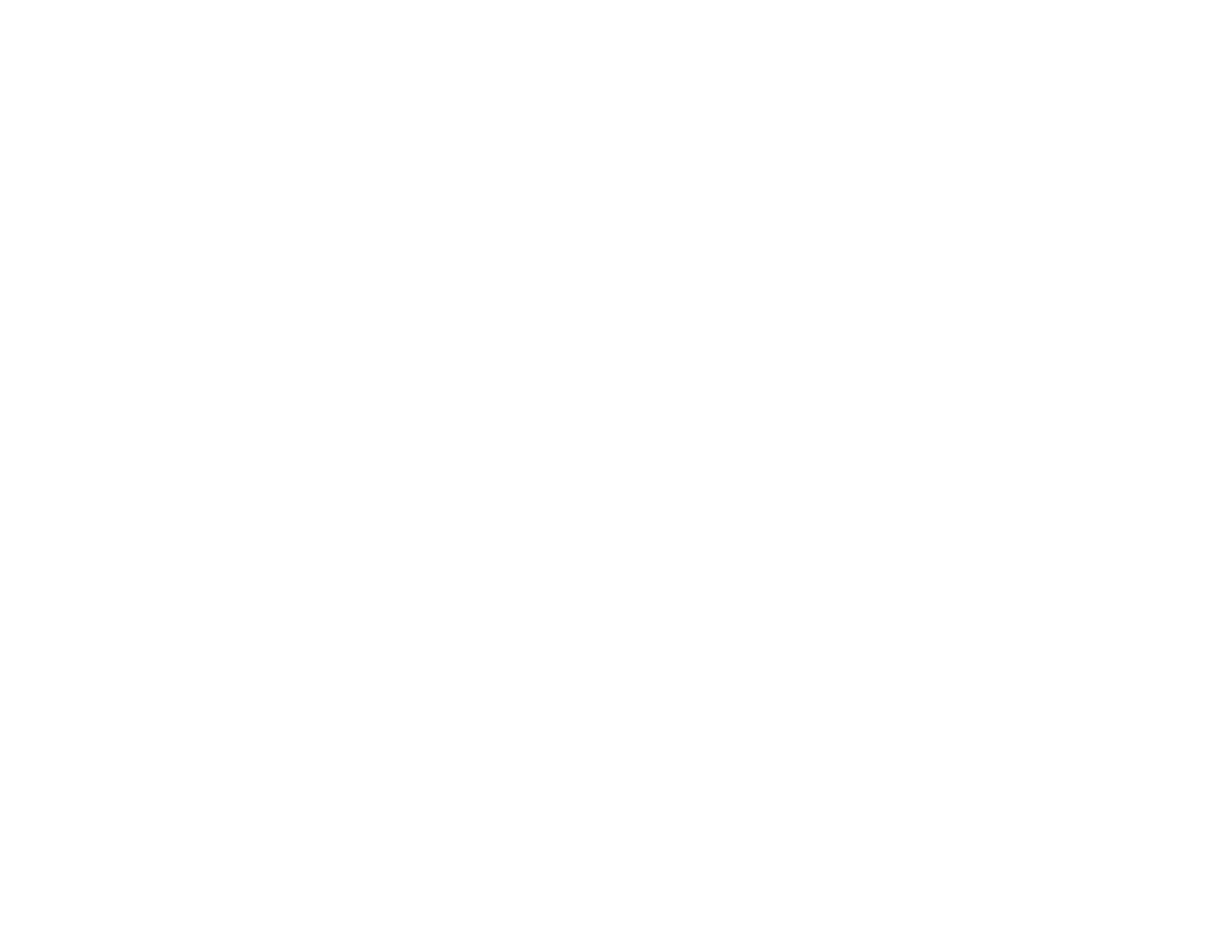 We partner with companis to create customized leadership training and development programs