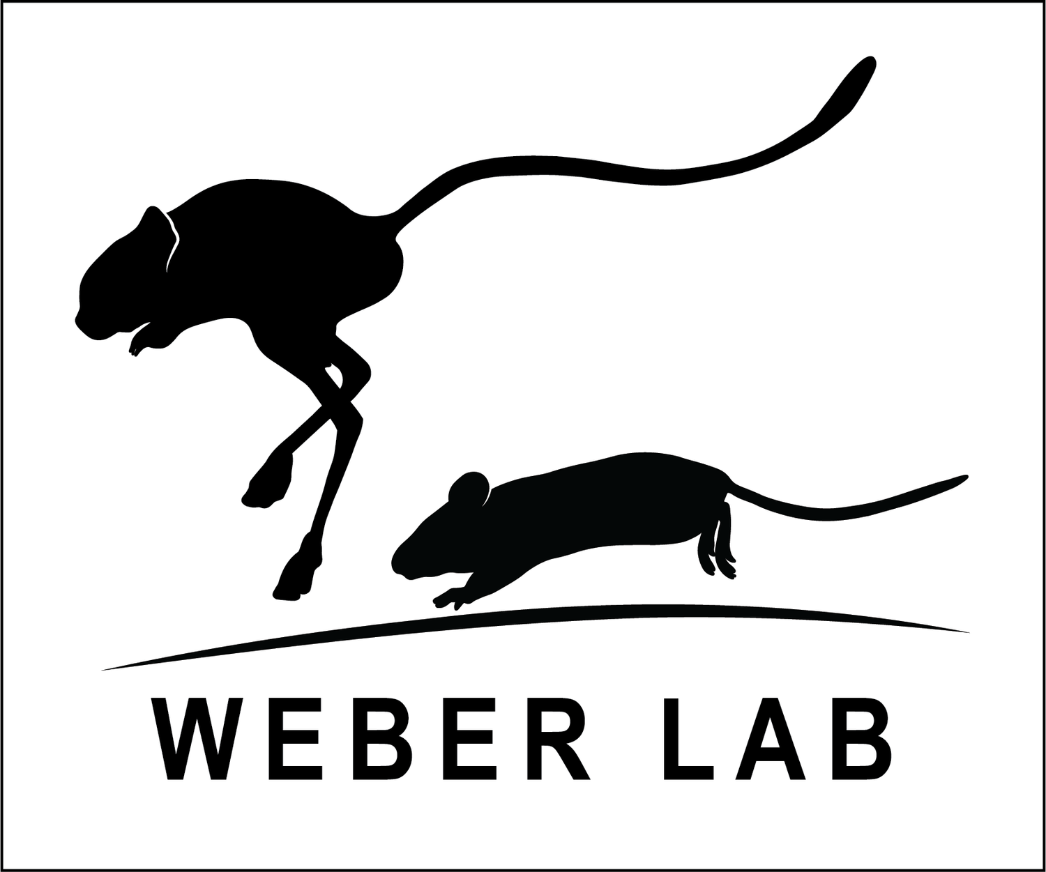 Weber Lab