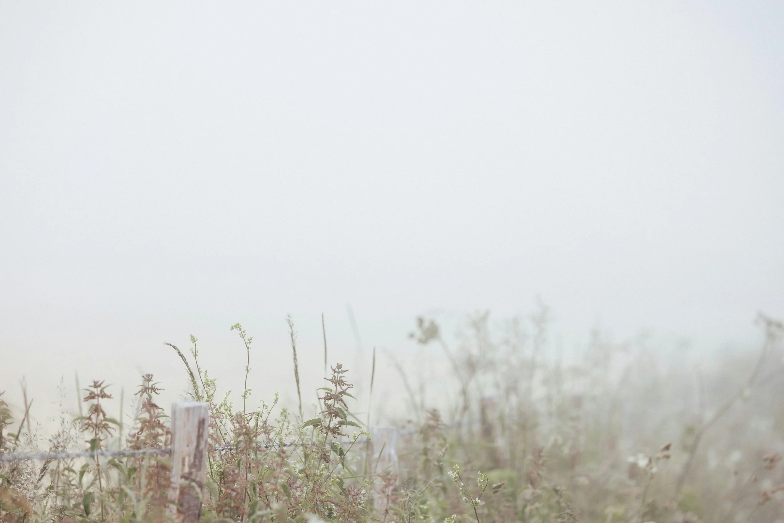 Image by Annie Spratt on Unsplash