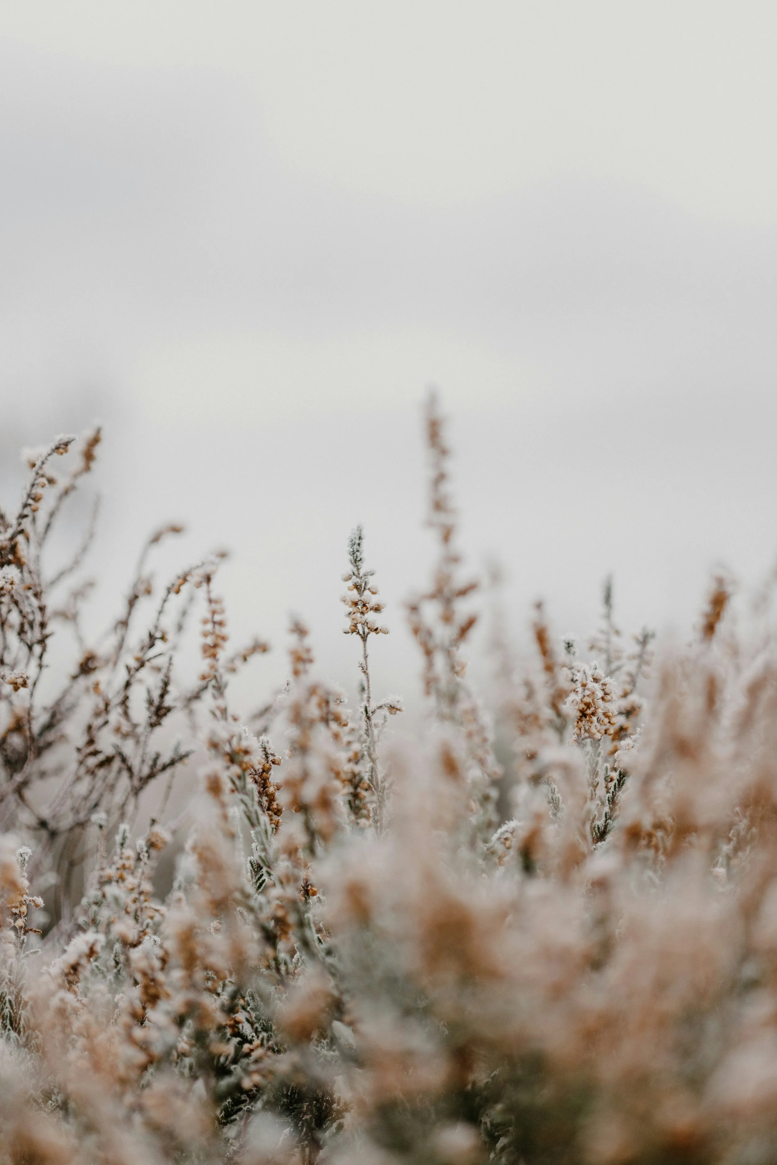 Image by Annie Spratt on Unsplash