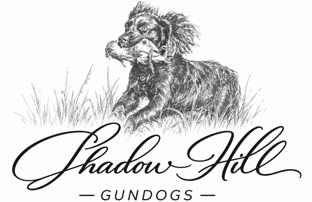 Shadow Hill Gundogs
