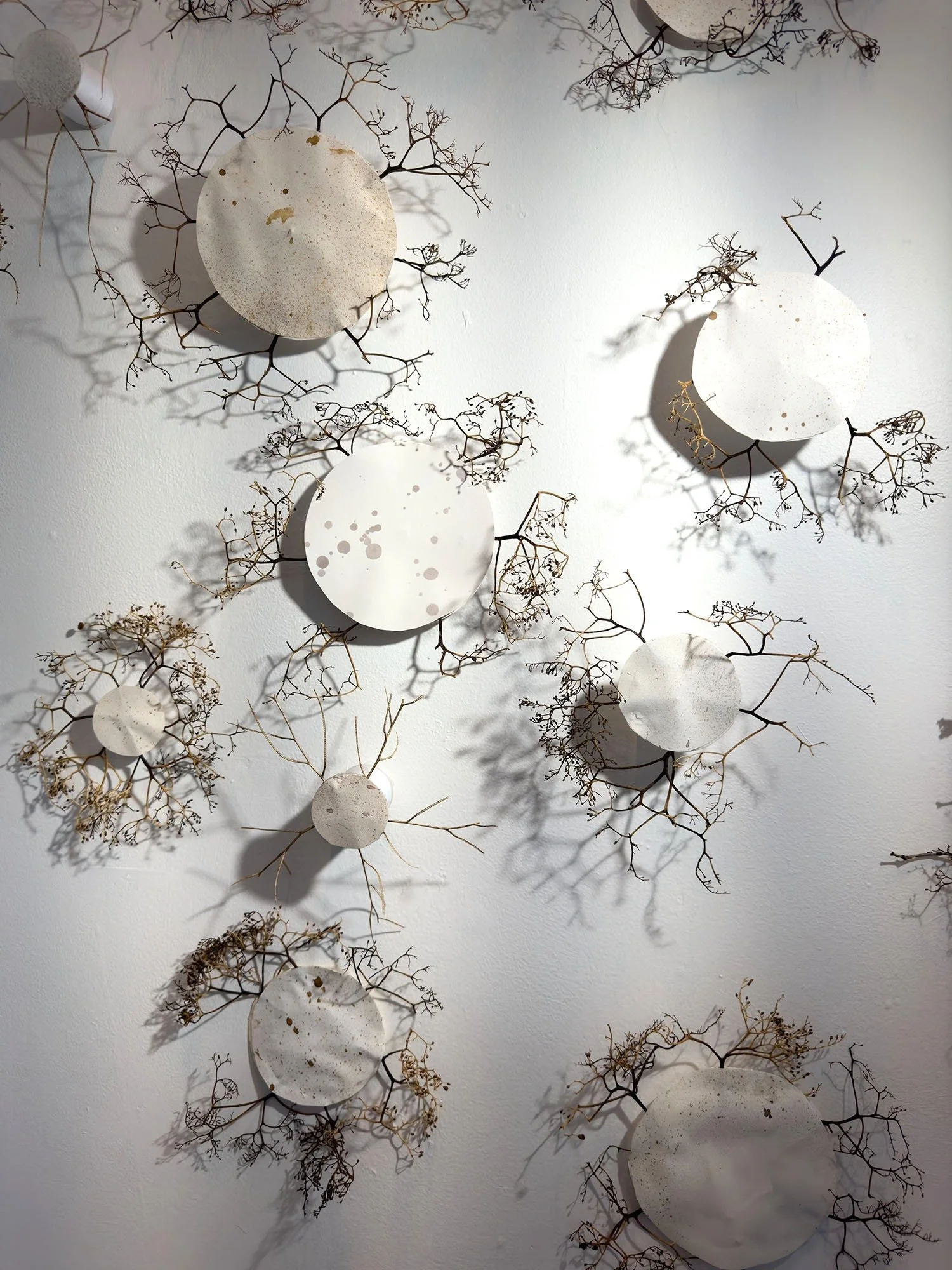 SYNAPSE Collaboration