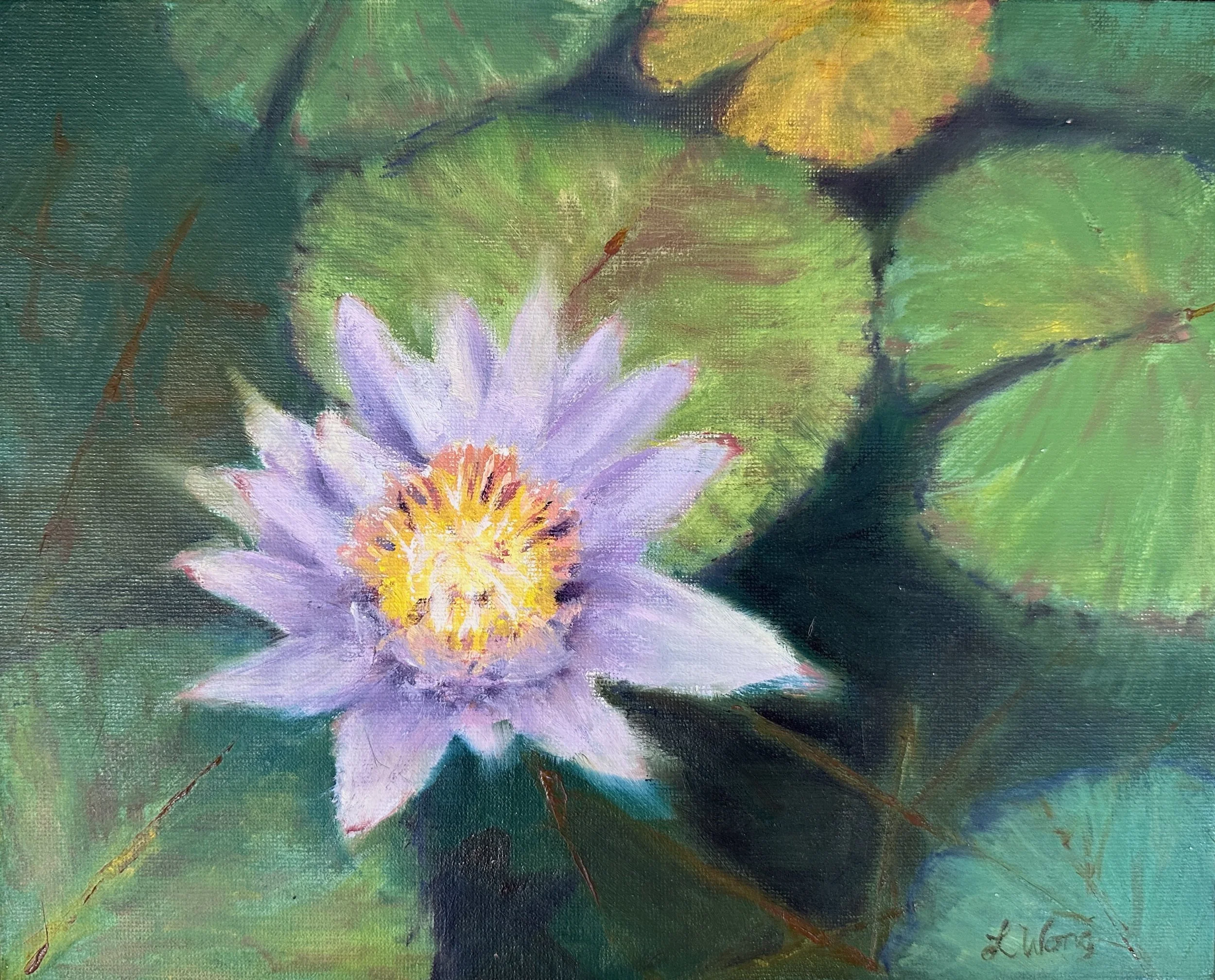 Waterlily, 8" x 10", oil