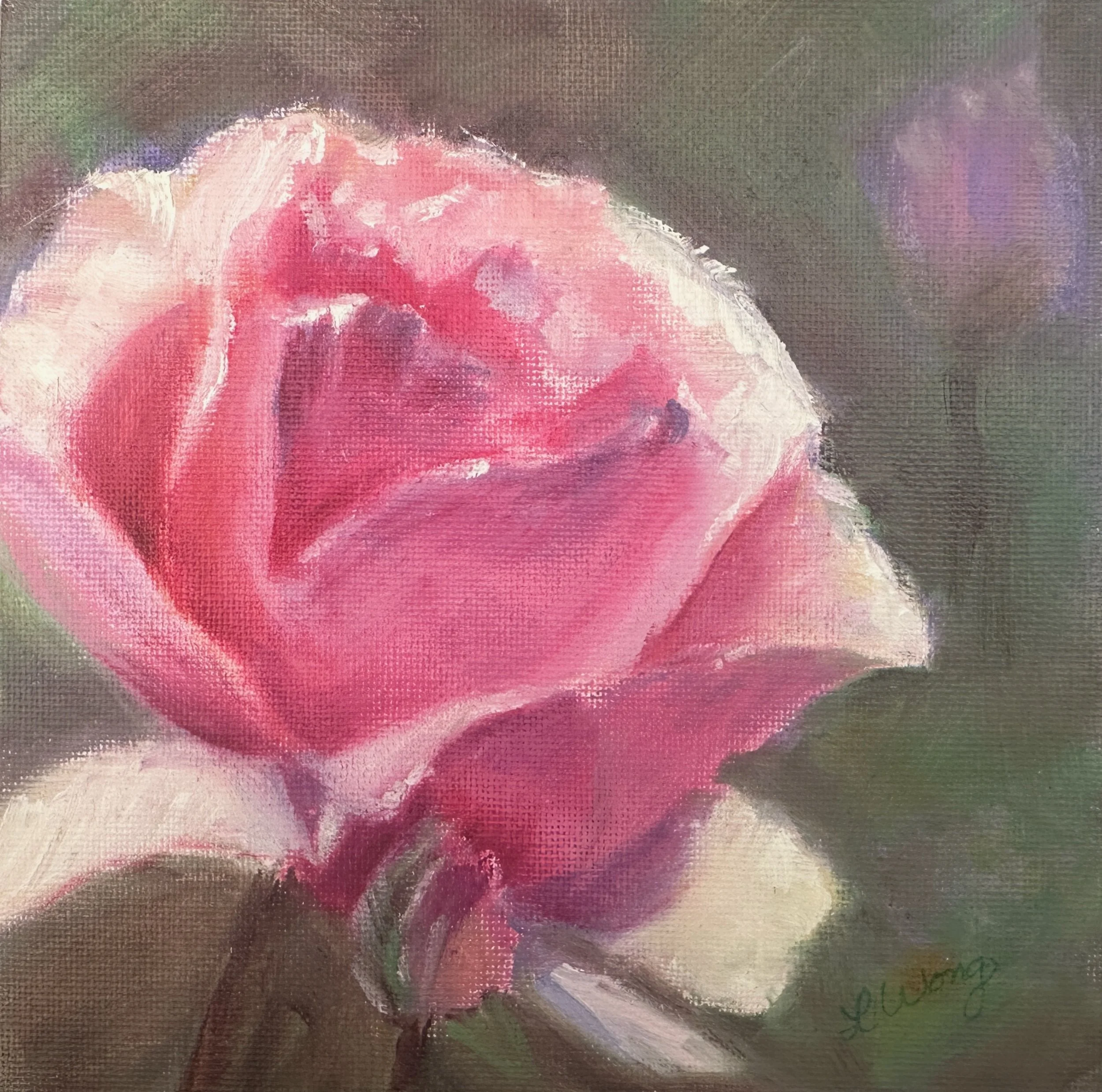 Pink Rose, 6" x 6", oil