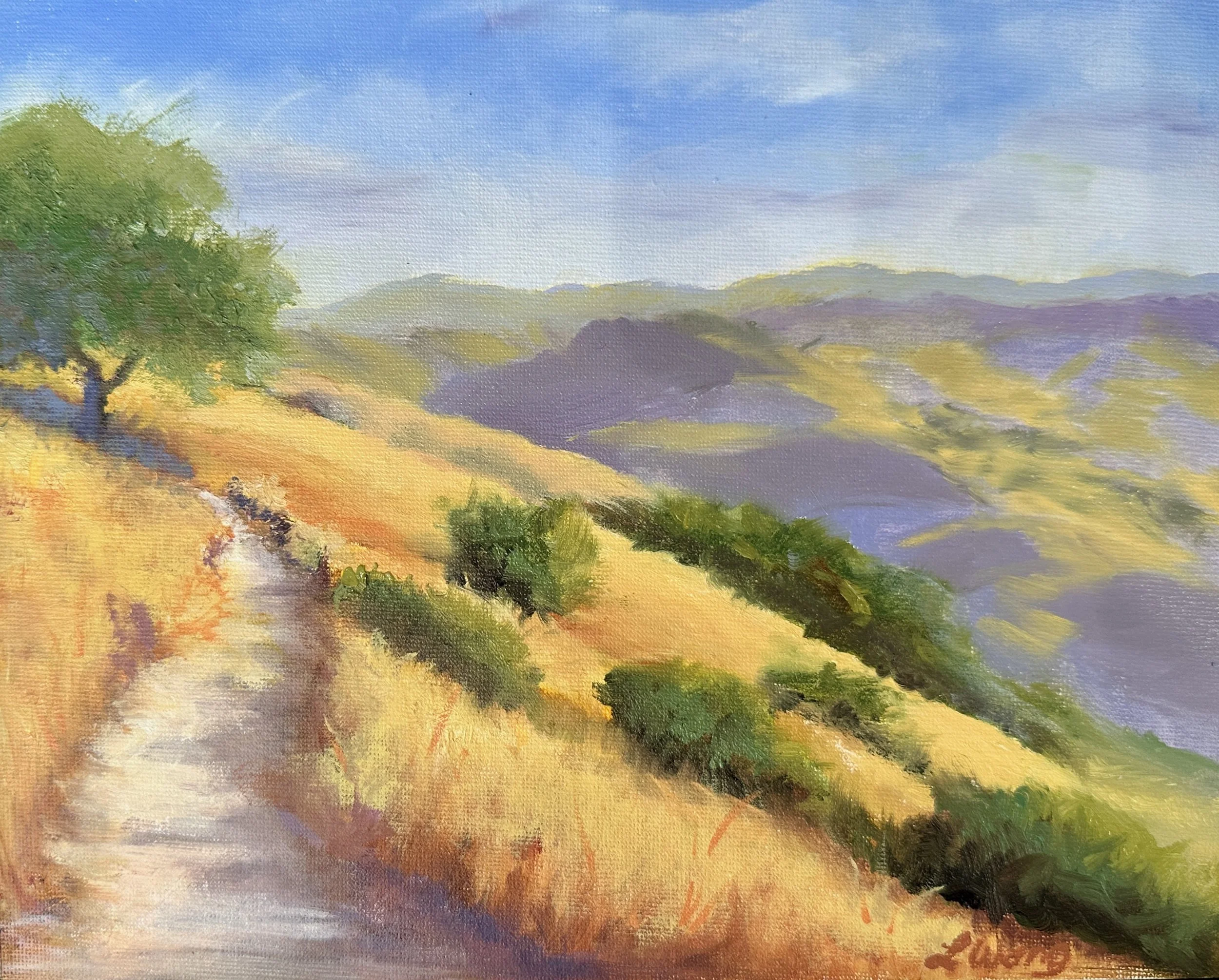 Mount Diablo Walk. 8" x 10", oil