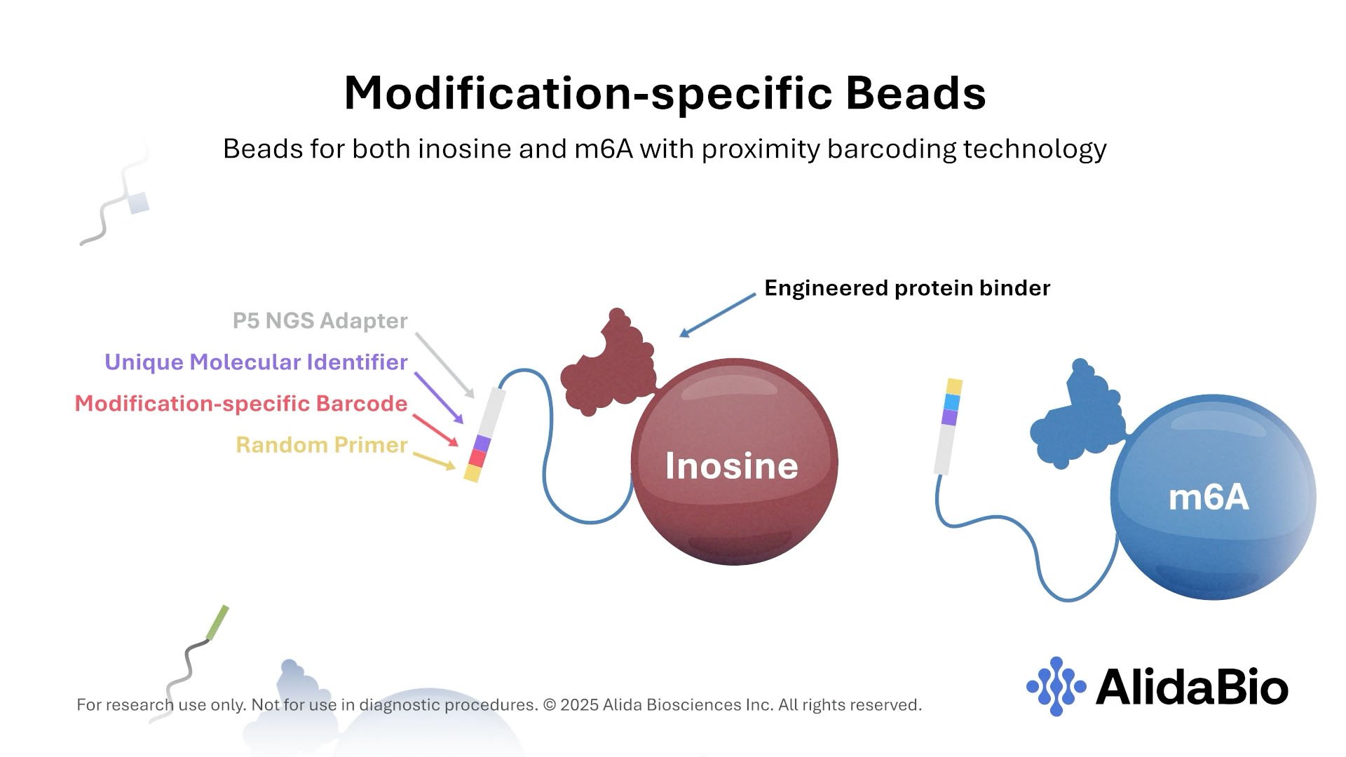 alidabio-epiplex-modification-specific-beads.jpg