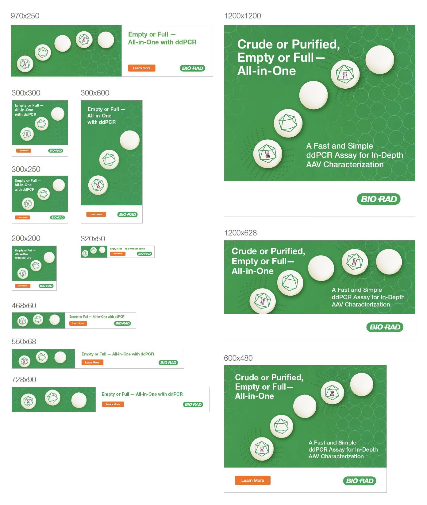 banner-ad-sizes-biorad.jpg
