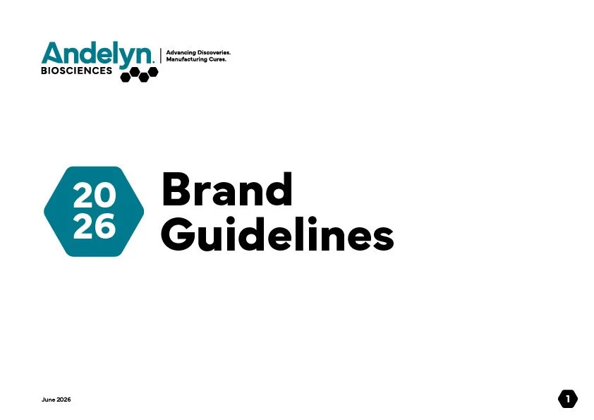 style-guide-Andelyn-2026.jpg