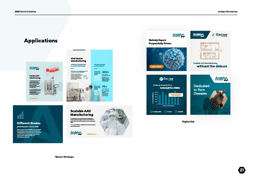 style-guide-Andelyn-applications.jpg