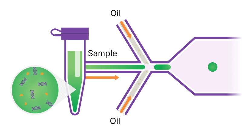 droplet-formation.gif