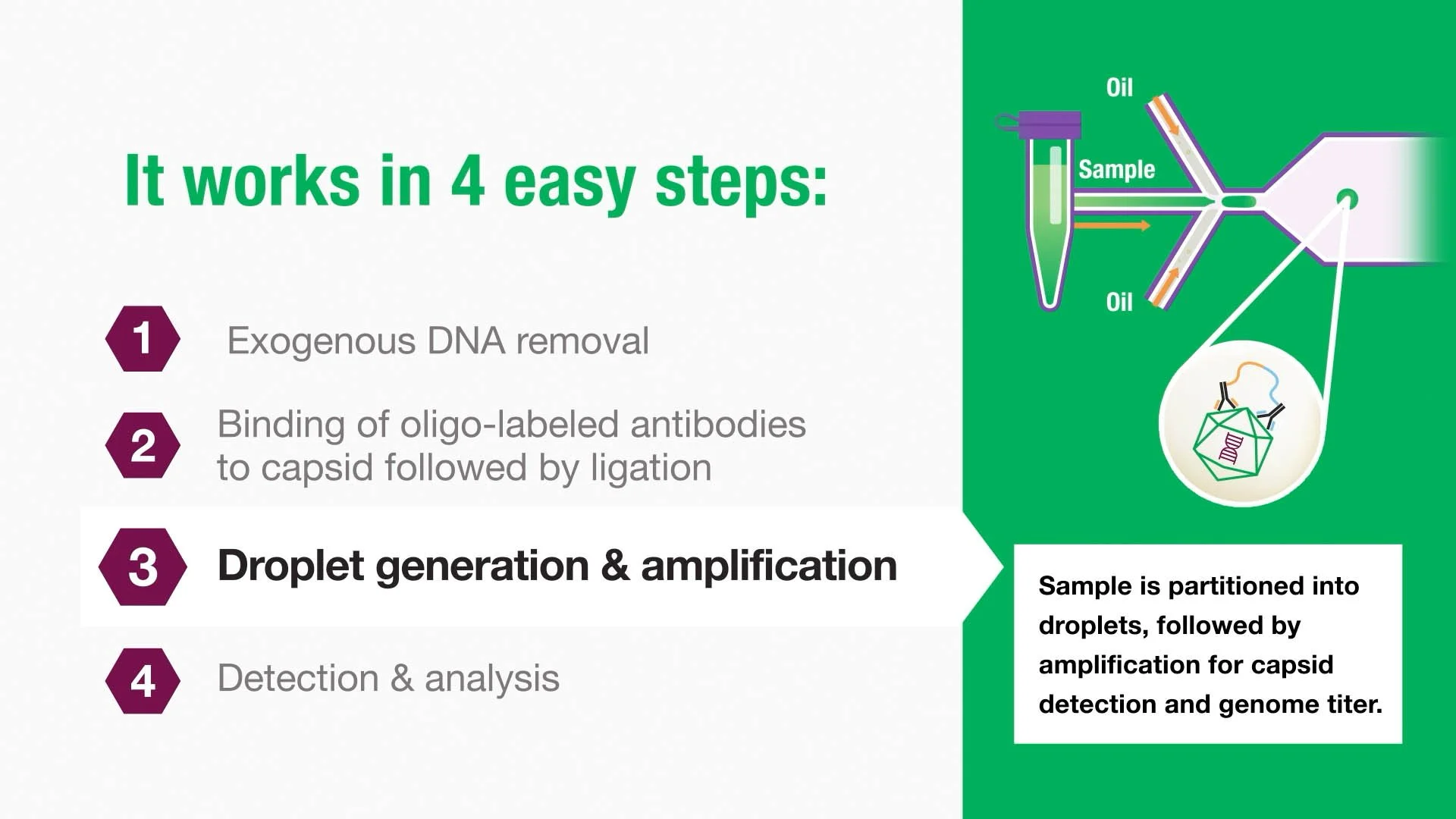 product-launch-bio-rad-vericheck-ef-capsid-kit.jpg