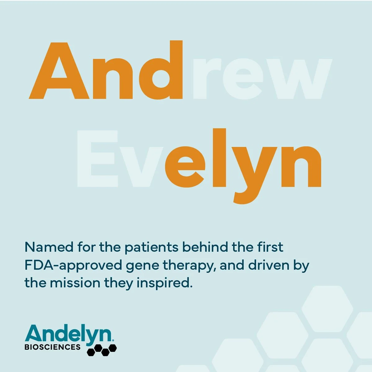 web_ad-andelyn-name.jpg