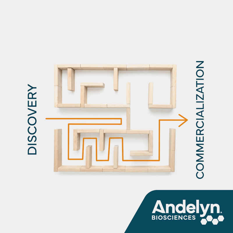 Andelyn-Maze-LinkedIn-OptionB-RC01.gif