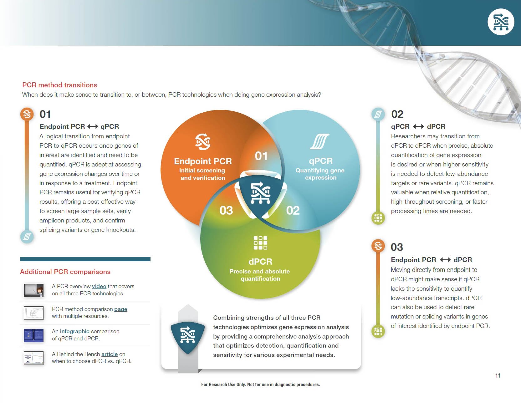 ebooks-thermofisher-endpoint-pcr.jpg