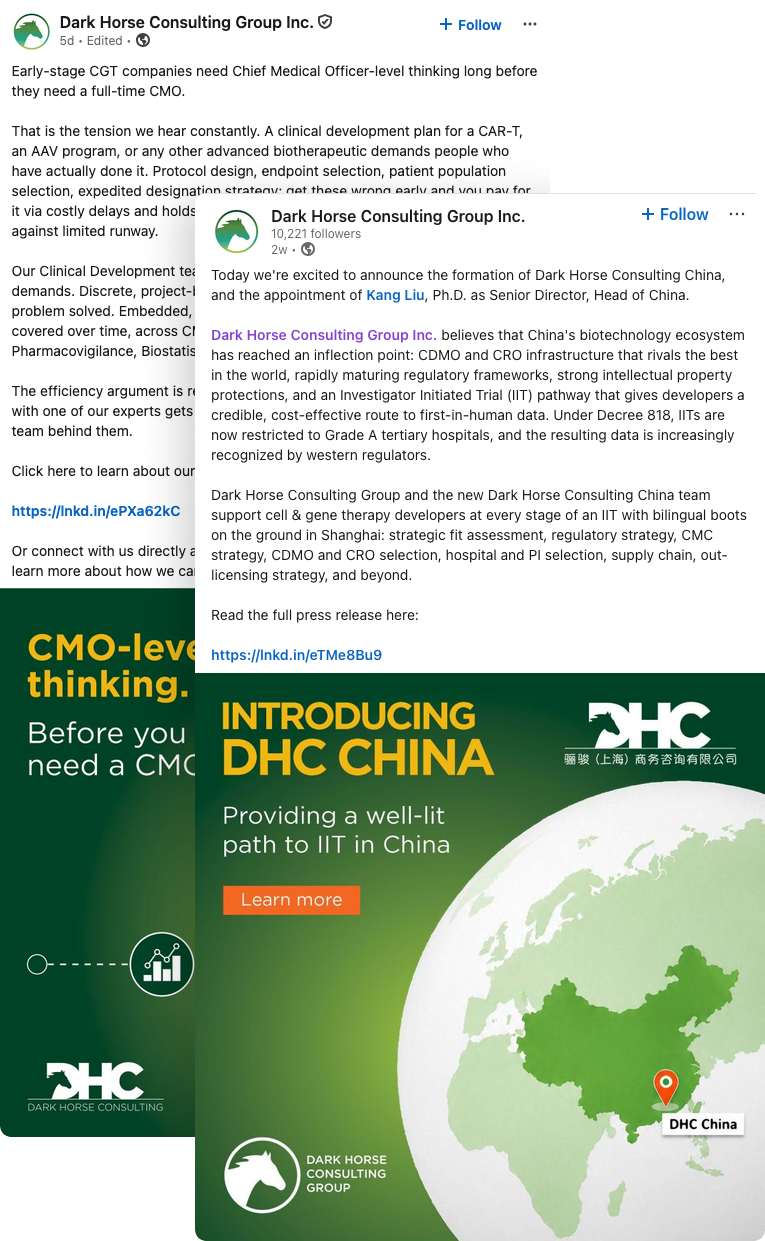 email-and-social-darkhorse_consulting_group_2.png