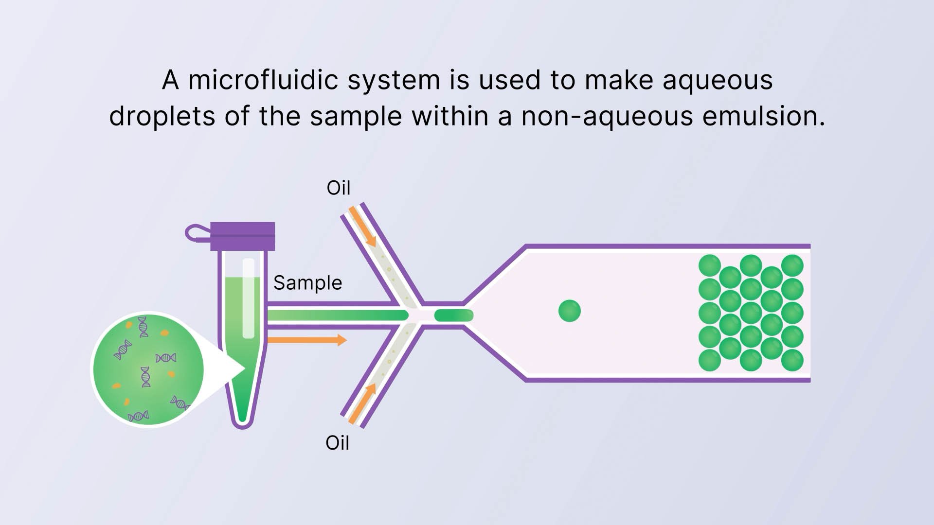 video-biorad-microfluidic-system.jpg