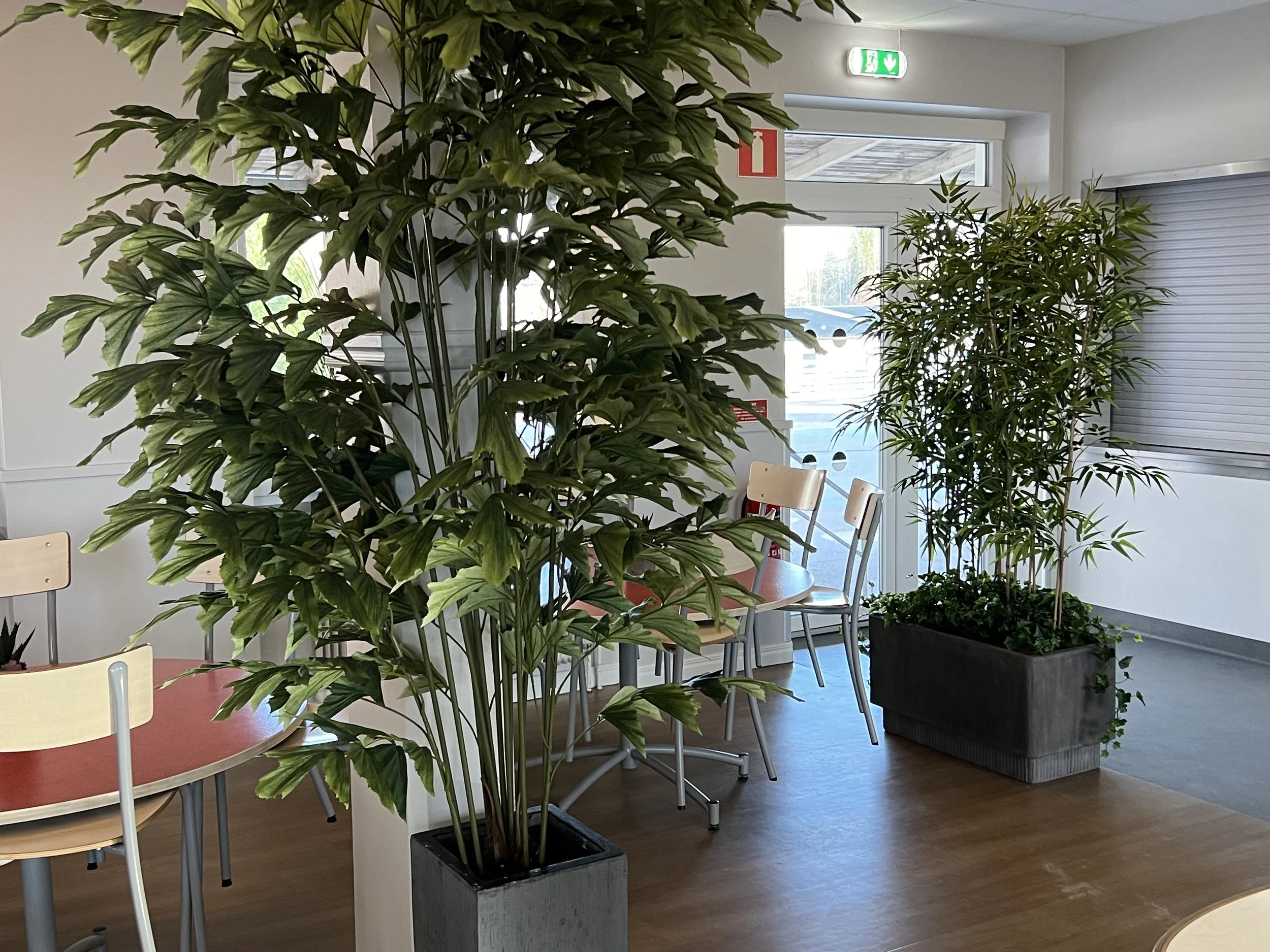 Inomhusmiljö med stora gröna växter, trästolpar, rullport och nödutgångsskylare.