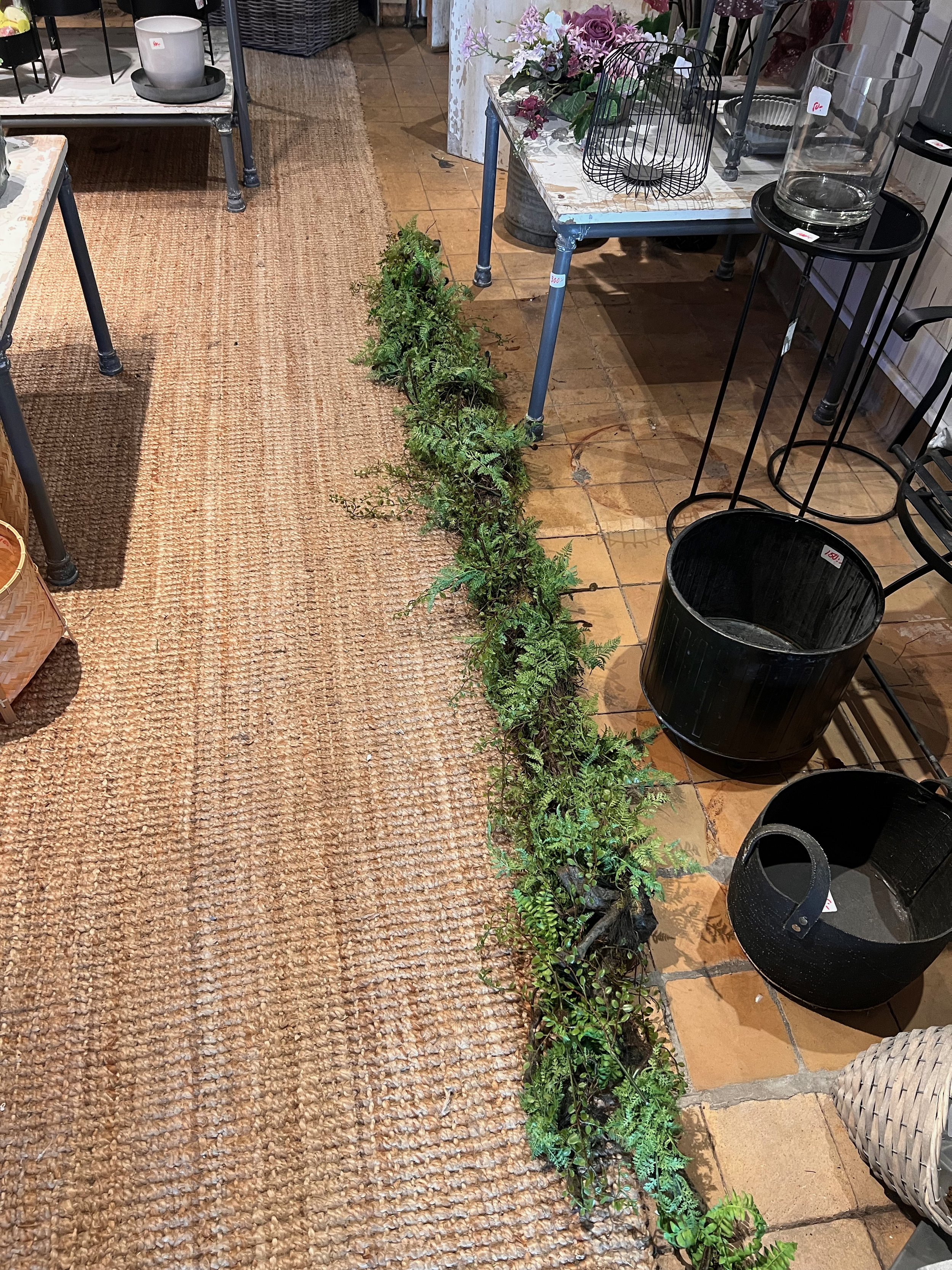 En lång rad av gröna växter på golvet i ett inredningsbutikksområde. Runt omkring finns möbler och dekorationsföremål som krukor, bord och stolar.