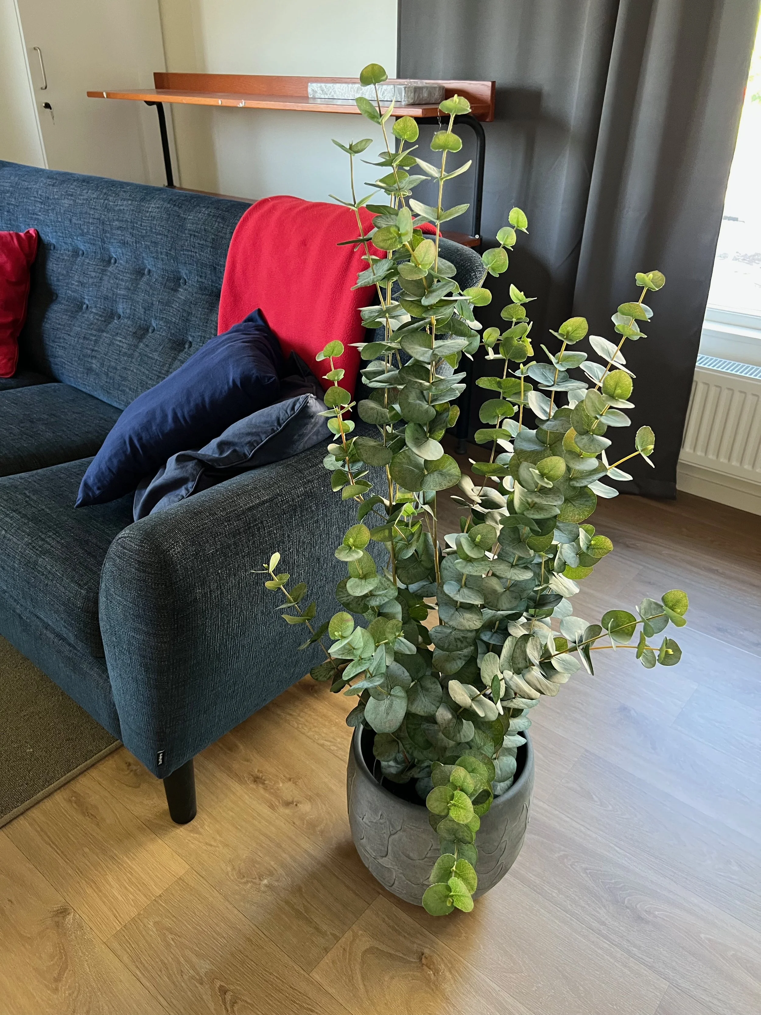 En stor grön växt i en rund kruka placerad bredvid en mörkblå soffkudde i ett vardagsrum.