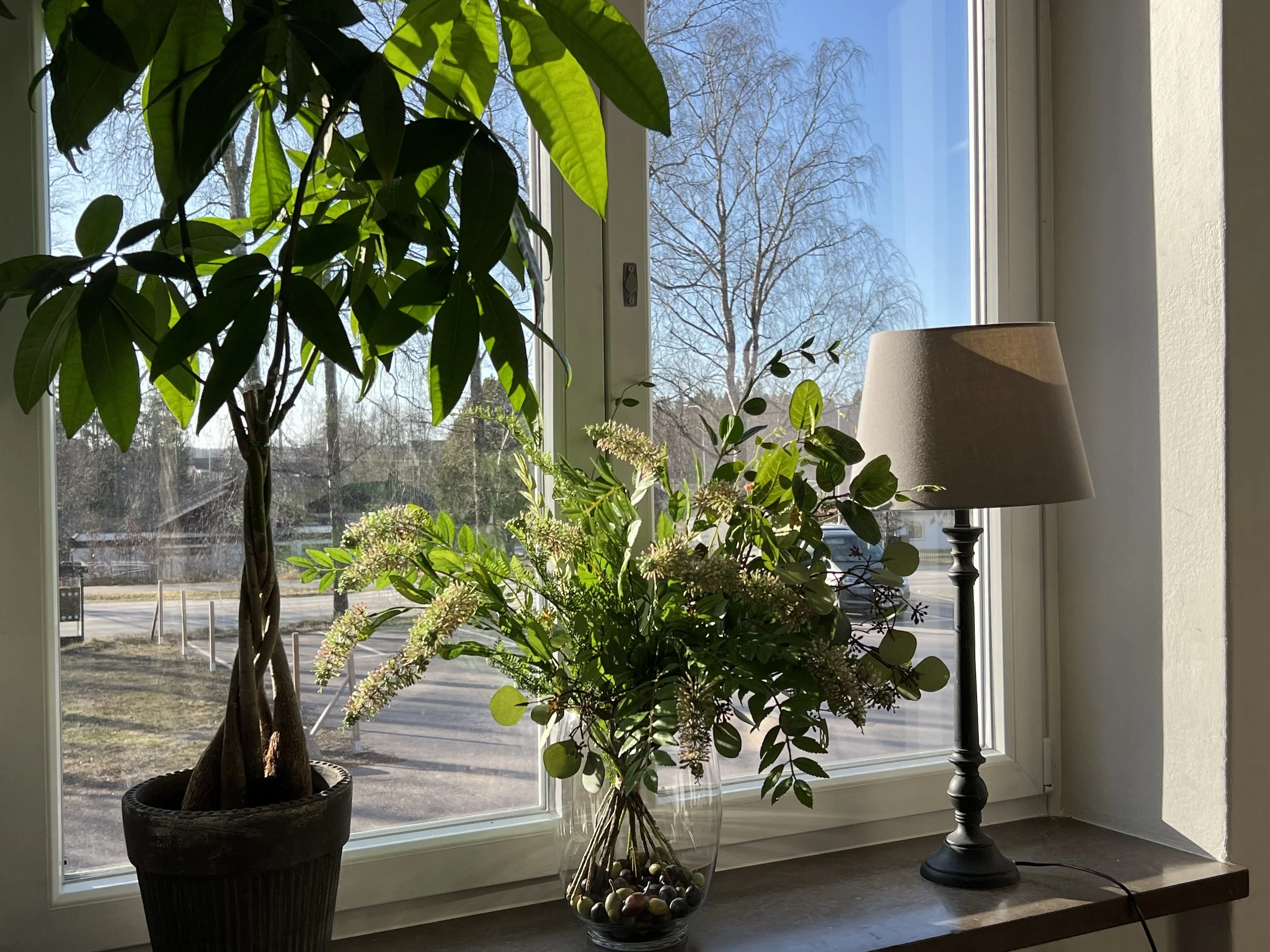 Väggen av ett fönster med utsikt över träd och molnfri himmel, med inomhusväxter och en liknande lampa på ett bord.