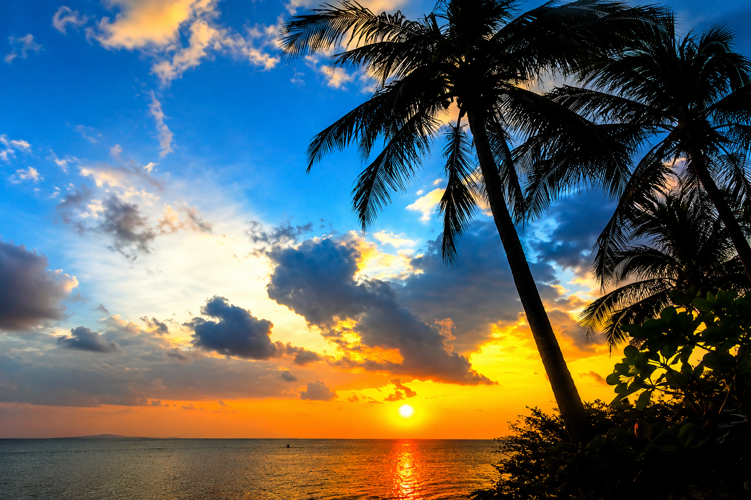 Sunset photo