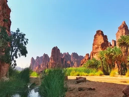 Led and coordinated several Technical Studies on water balance & management, mega-scale irrigation & maintenance operations, sediments, conservation, transplantations, etc.