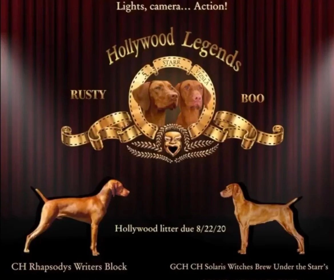 Rusty & Boo 2020