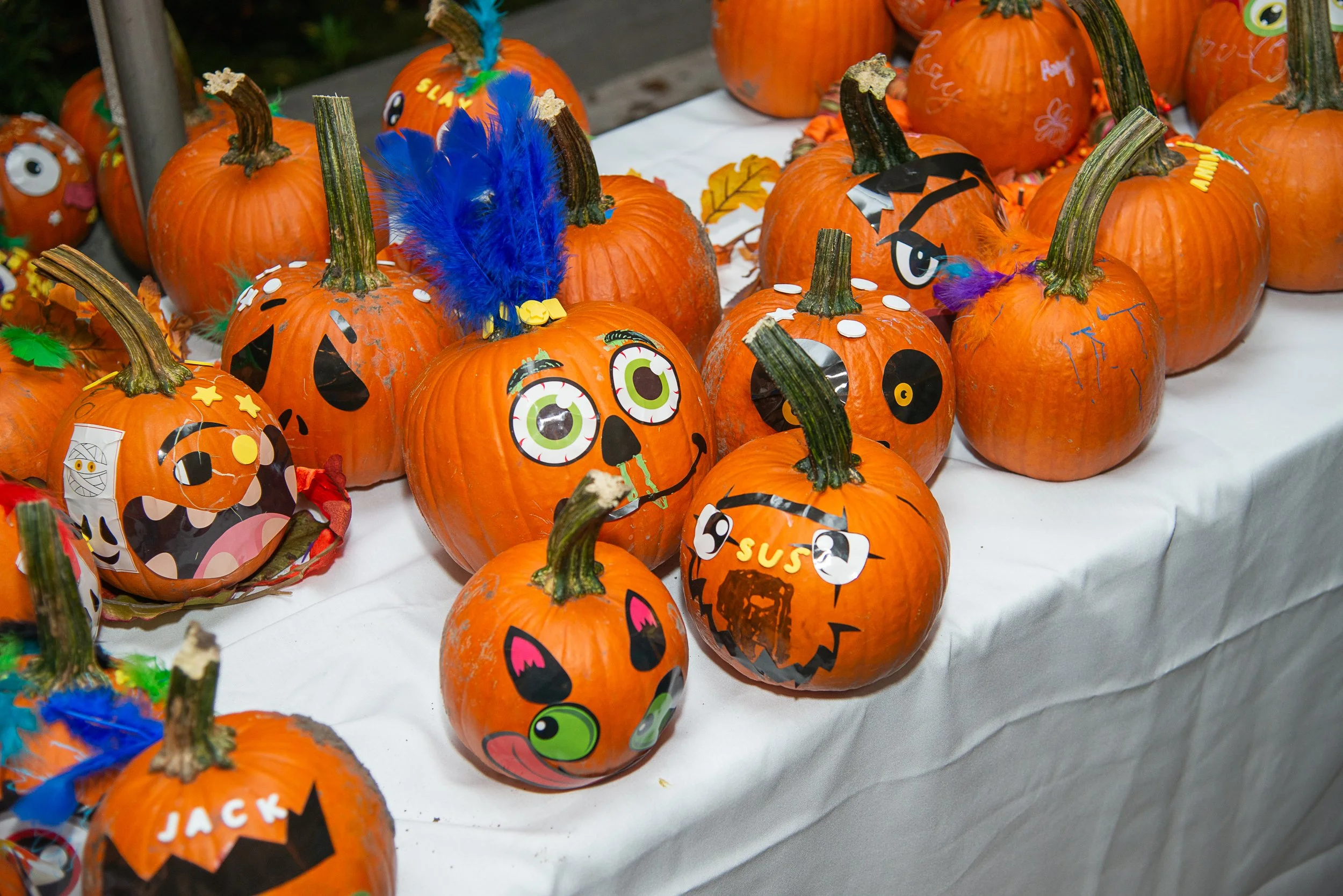 _B824232_Kiyokawa_Apple_Harvest_Fest.jpg