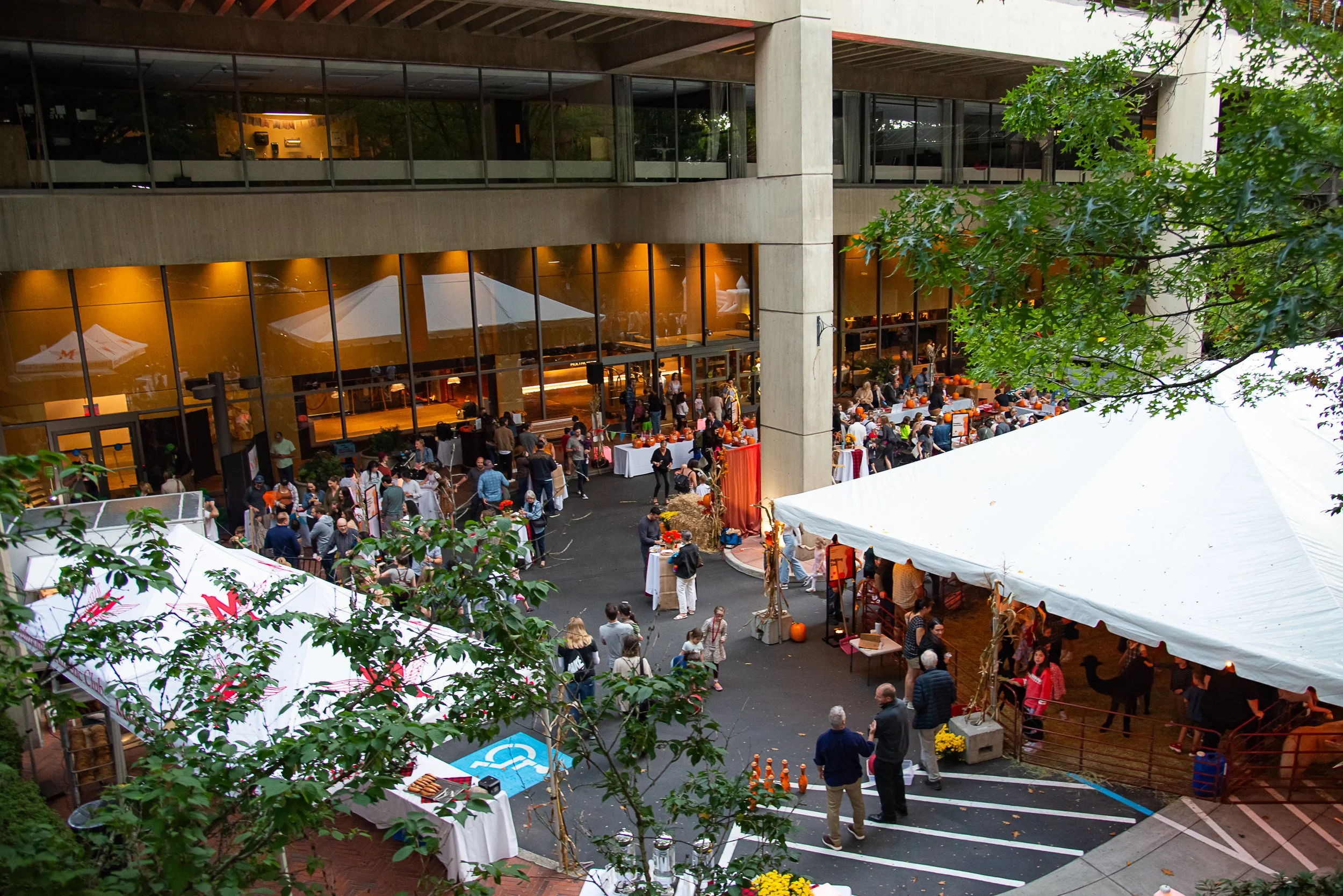 Fall Family Festival