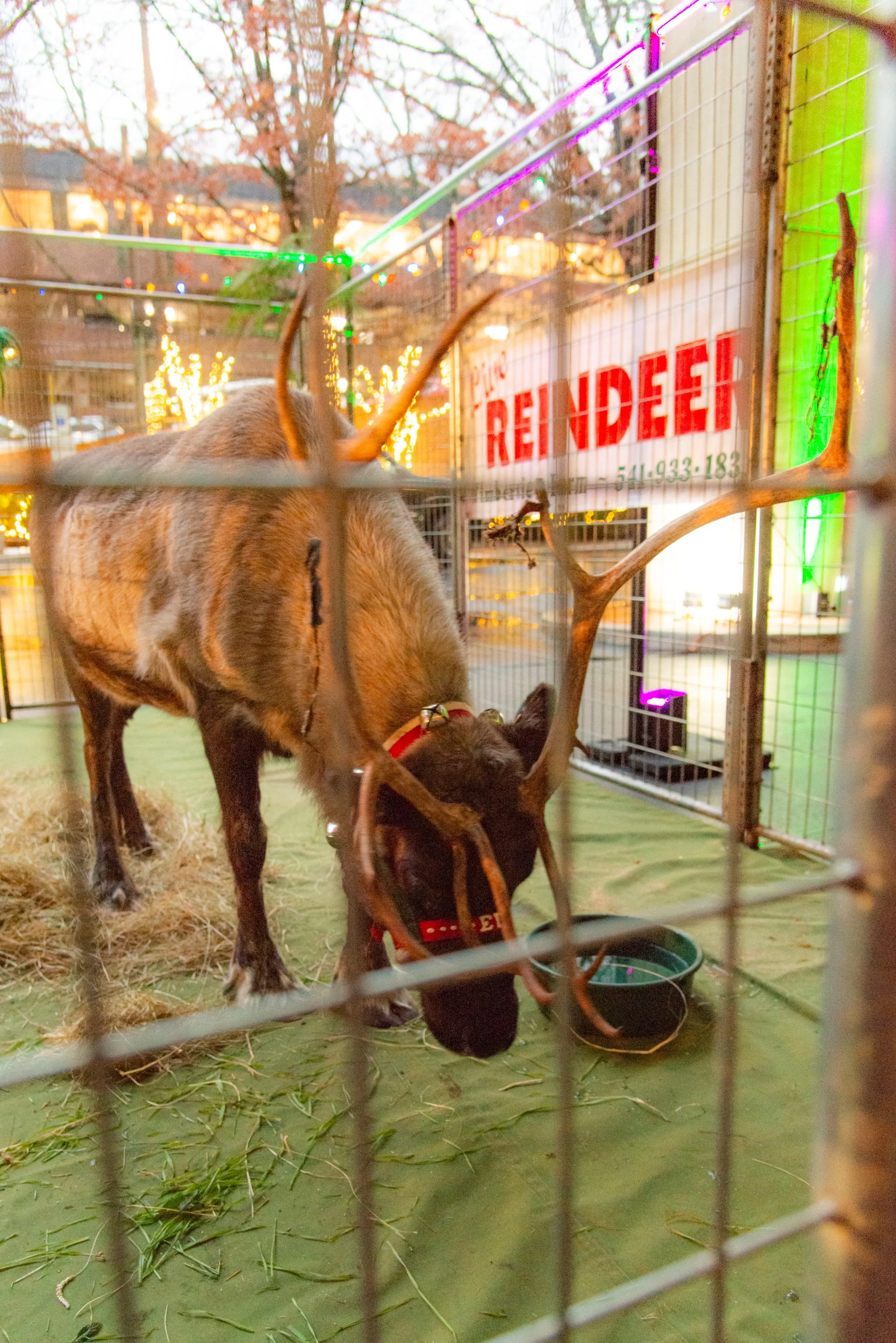 Holiday_Open_House_BD81172.jpg
