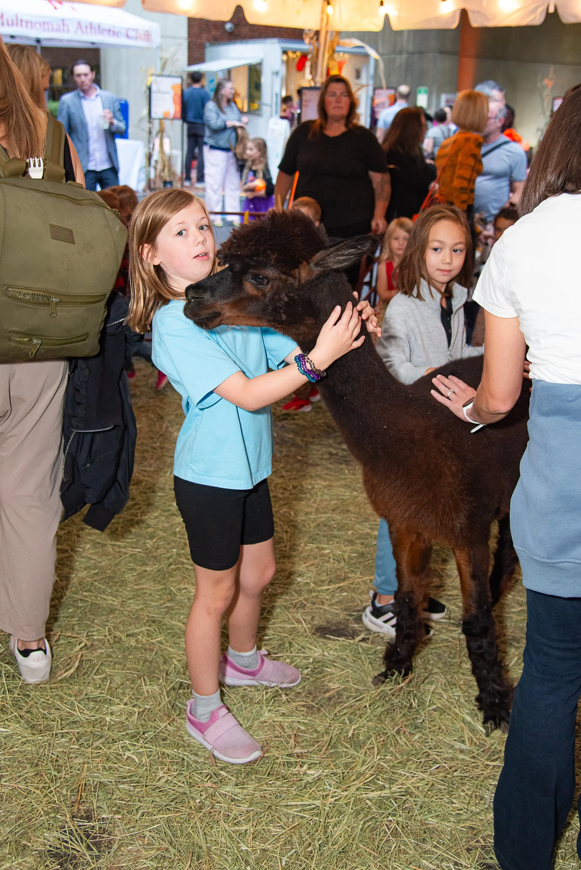 Family_Fall_Festival_B834154.jpg