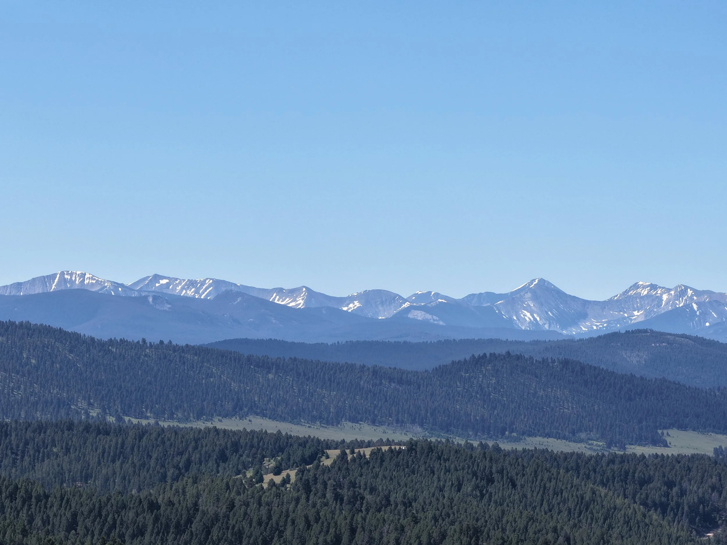 Martin aerial drone Snow-capped mountains under a clear blue sky with a dense green forest in the foreground.