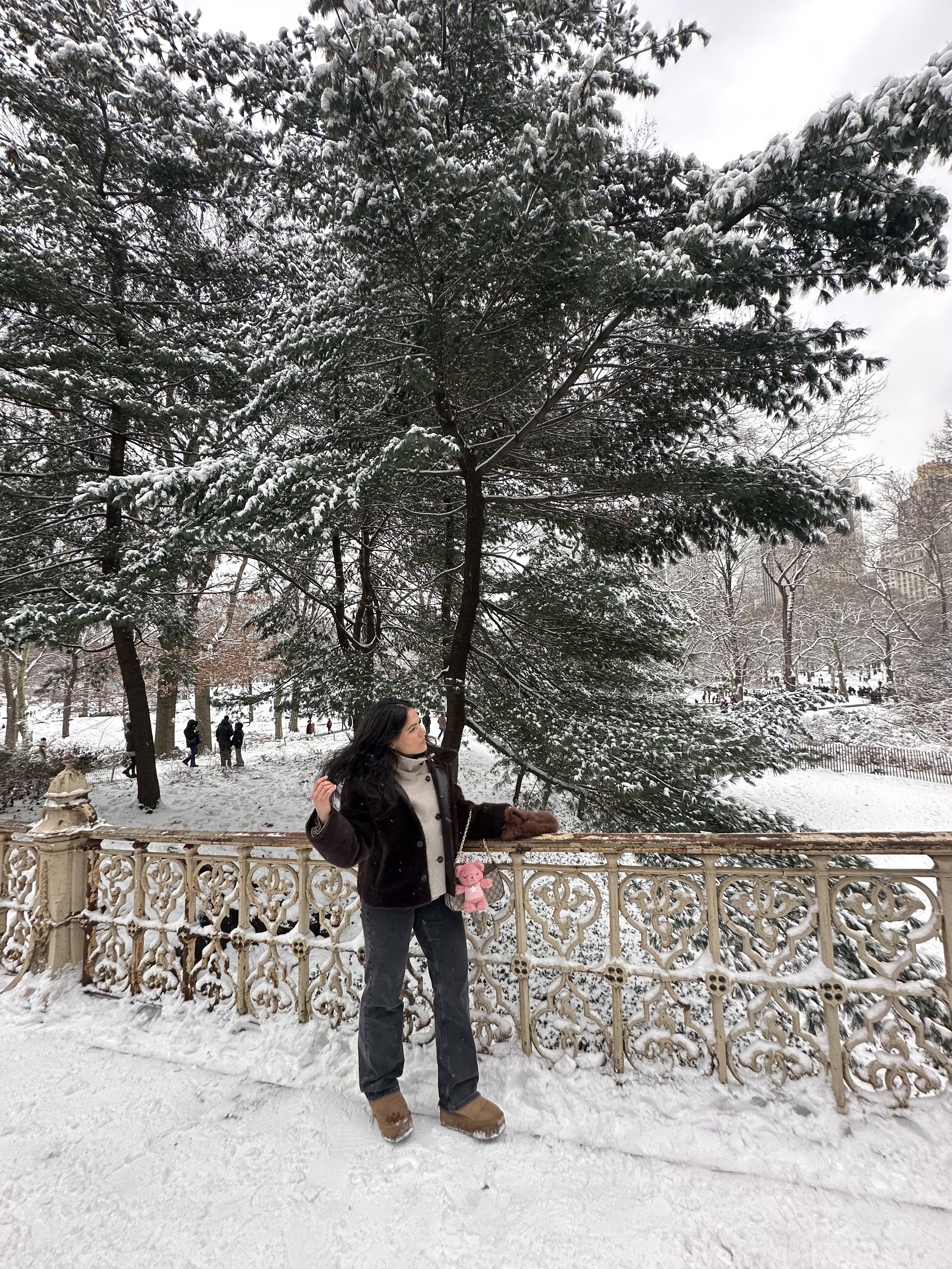 Woman standing by a decorative iron fence in a snowy park, with snow-covered trees and people in the background, wearing winter clothing.