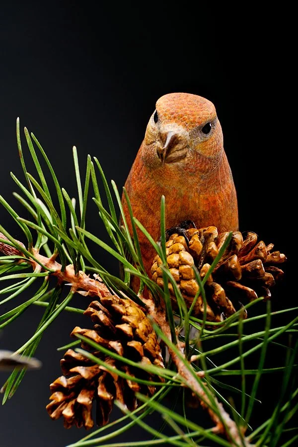 Ornament of a bird perched among pine branches and pinecones, designed to look realistic.