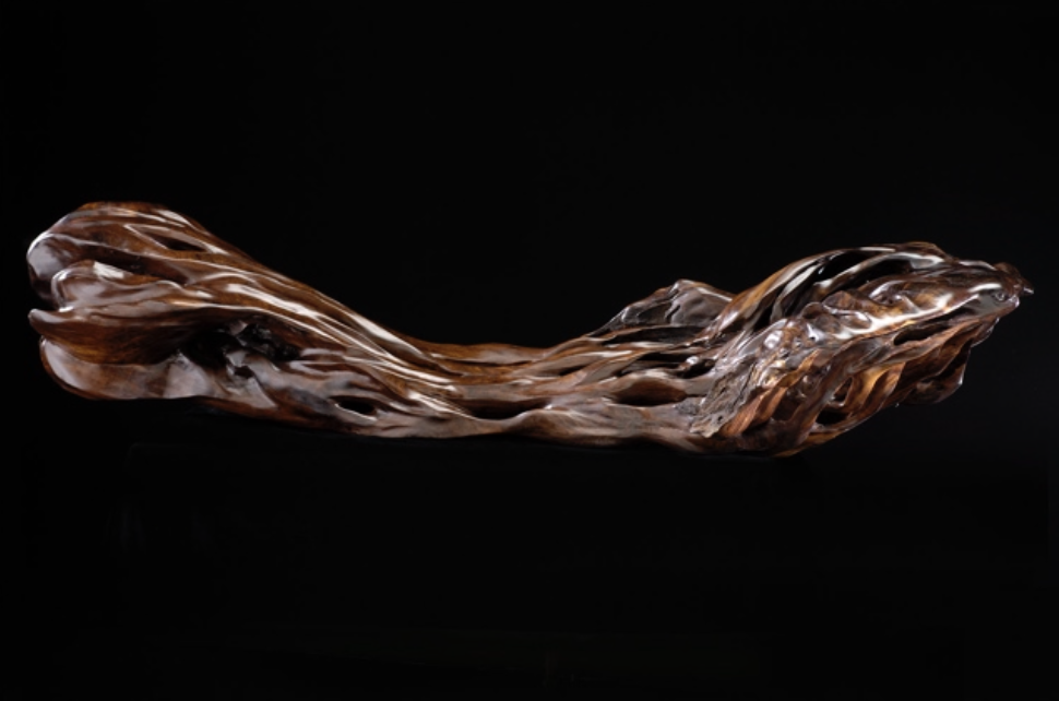 A polished, twisted piece of wood or possibly a piece of driftwood with a shiny surface, set against a black background.