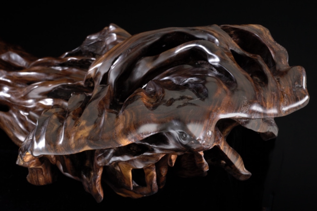 A polished, irregularly shaped piece of dark brown wood with a glossy finish, set against a black background.